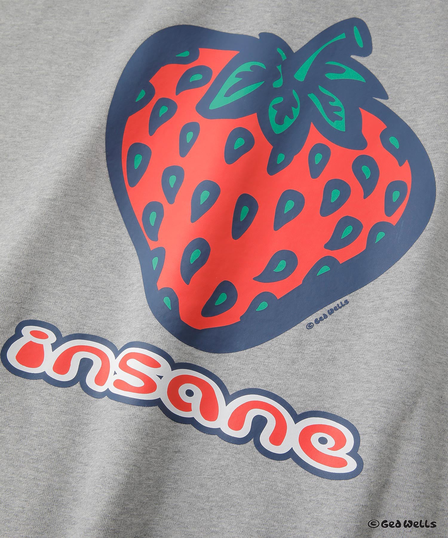 SILAS×INSANE  STRAWBERRY SWEAT HOODIE