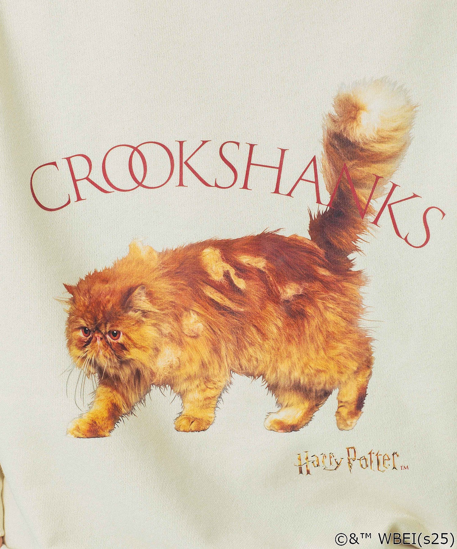 【Sサイズ・Lサイズのみ期間限定受注生産】COLSUN/CROOKSHANKS SWEATSHIRT