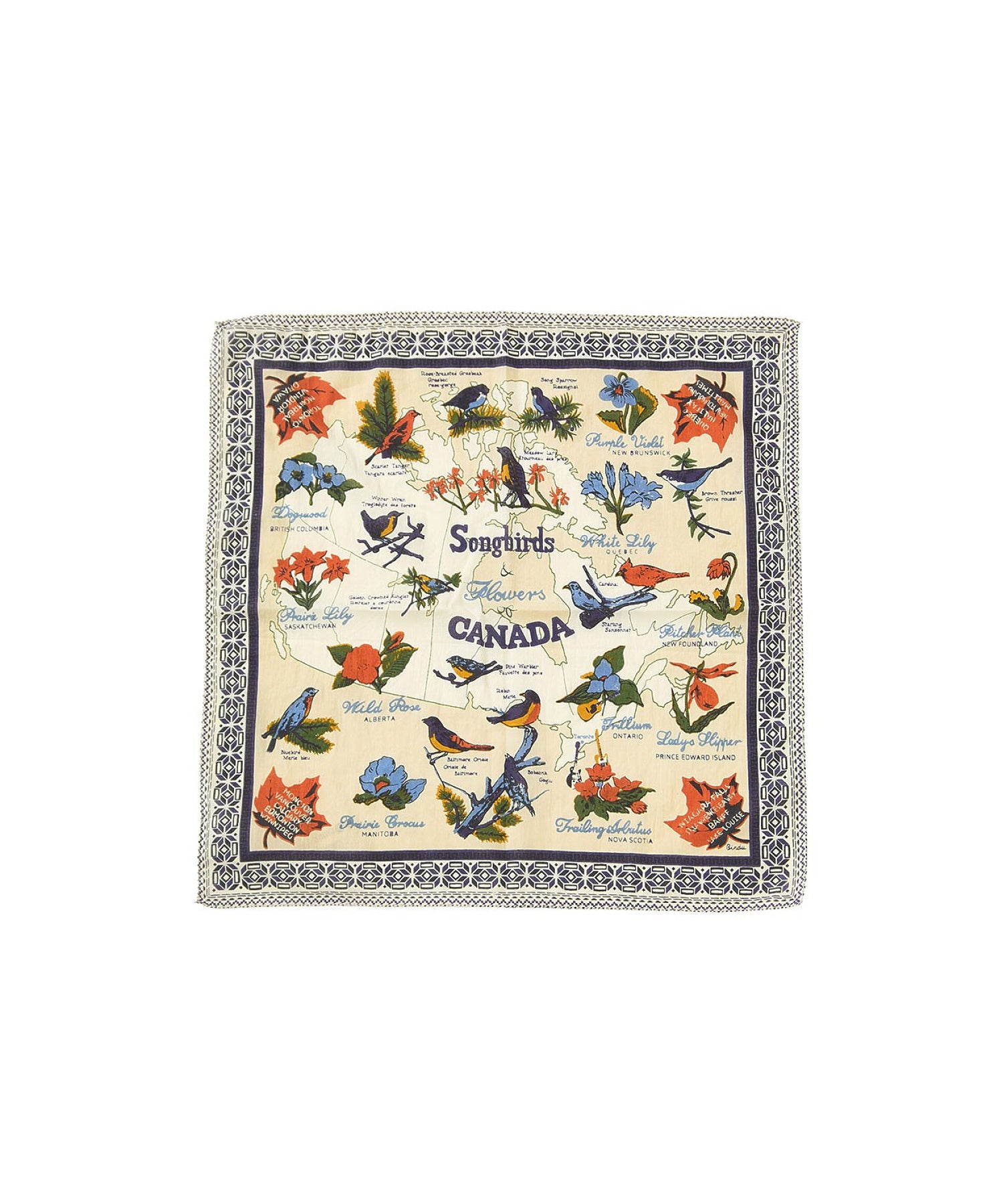 BINDU/COTTON VOILE CANADA BANDANA