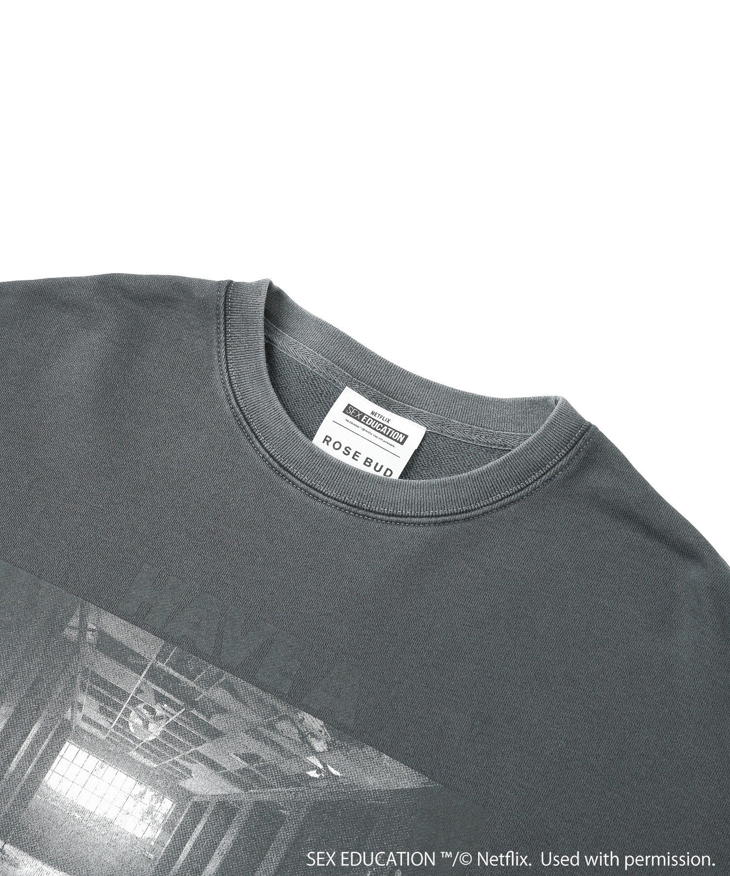 Netflix Series ‘SEX EDUCATION’ × ROSE BUD/PHOTO PRINT PULLOVER