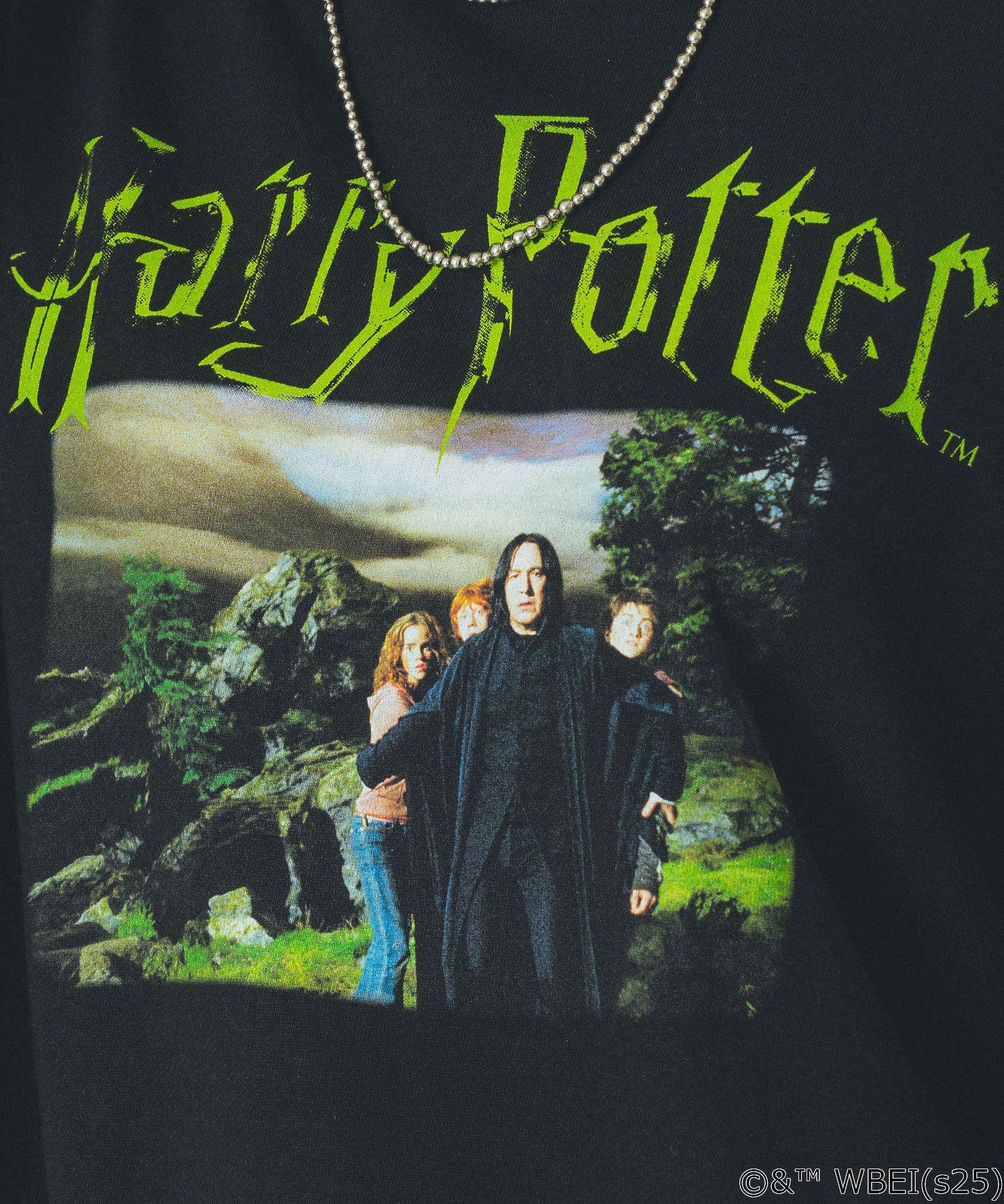 【Lサイズのみ期間限定受注生産】COLSUN/HARRY POTTER SWEATSHIRT