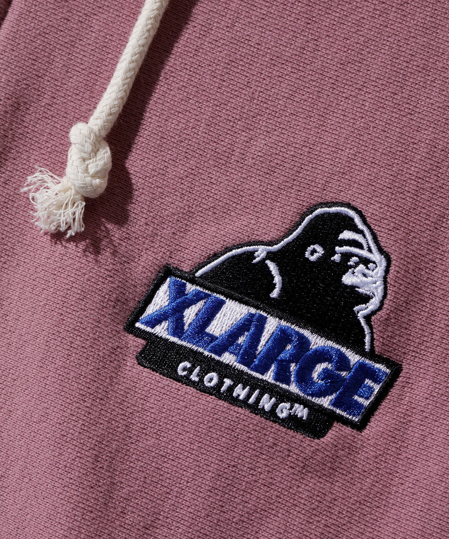 XLARGE×Champion REVERSE WEAVE ZIP HOODED SWEATSHIRT