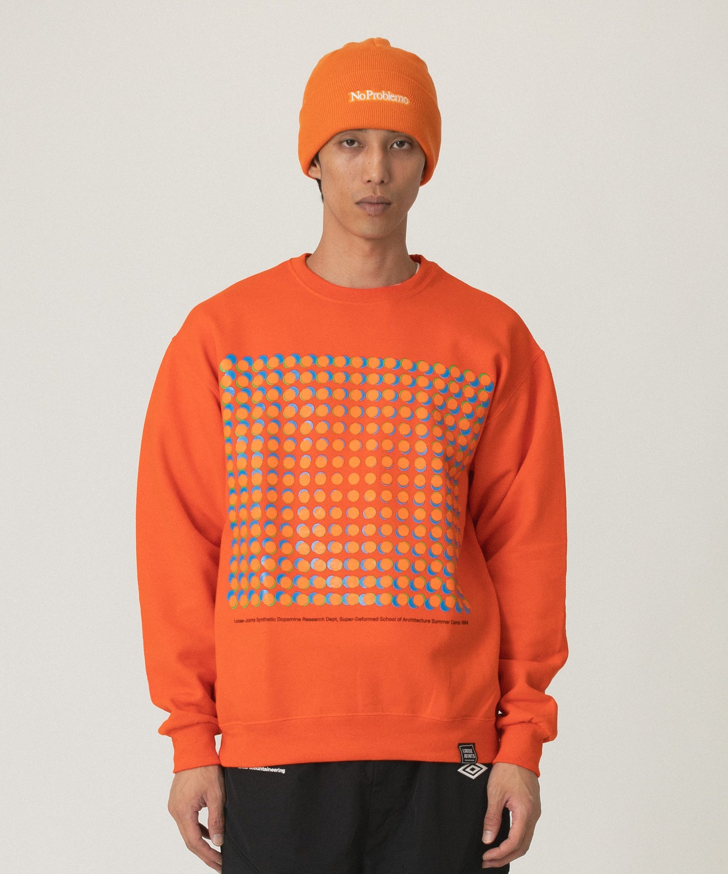 LOOSEJOINTS/ルーズジョインツ/ED DAVIS SUPERDEFORMED GREW NECK LF25FL006ED