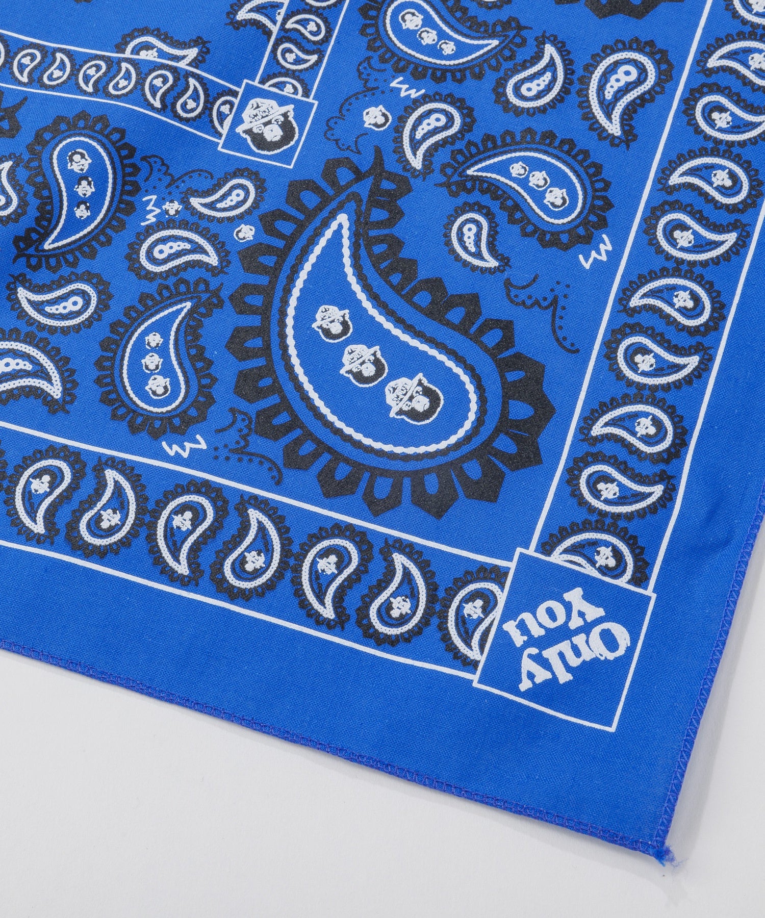 【The Printed Image】ﾈｲﾁｬｰﾌﾟﾘﾝﾄ SMOKEY PAISLEY ROY