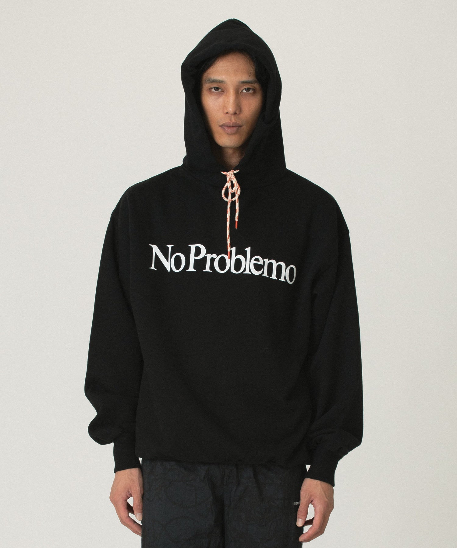 NO PROBLEMO/ノープロブレモ/HOODIE NP20012 04