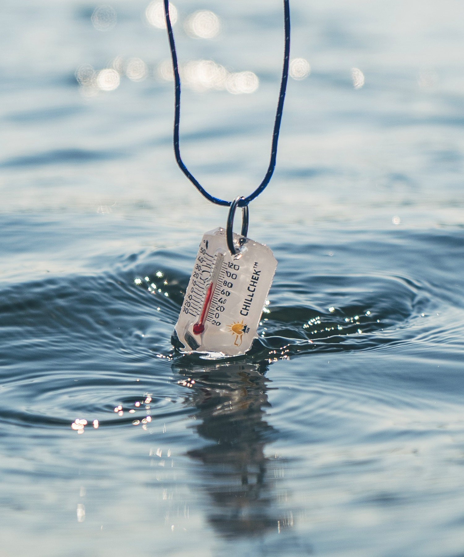 【SUN COMPANY】ﾁﾙﾁｪｯｸ