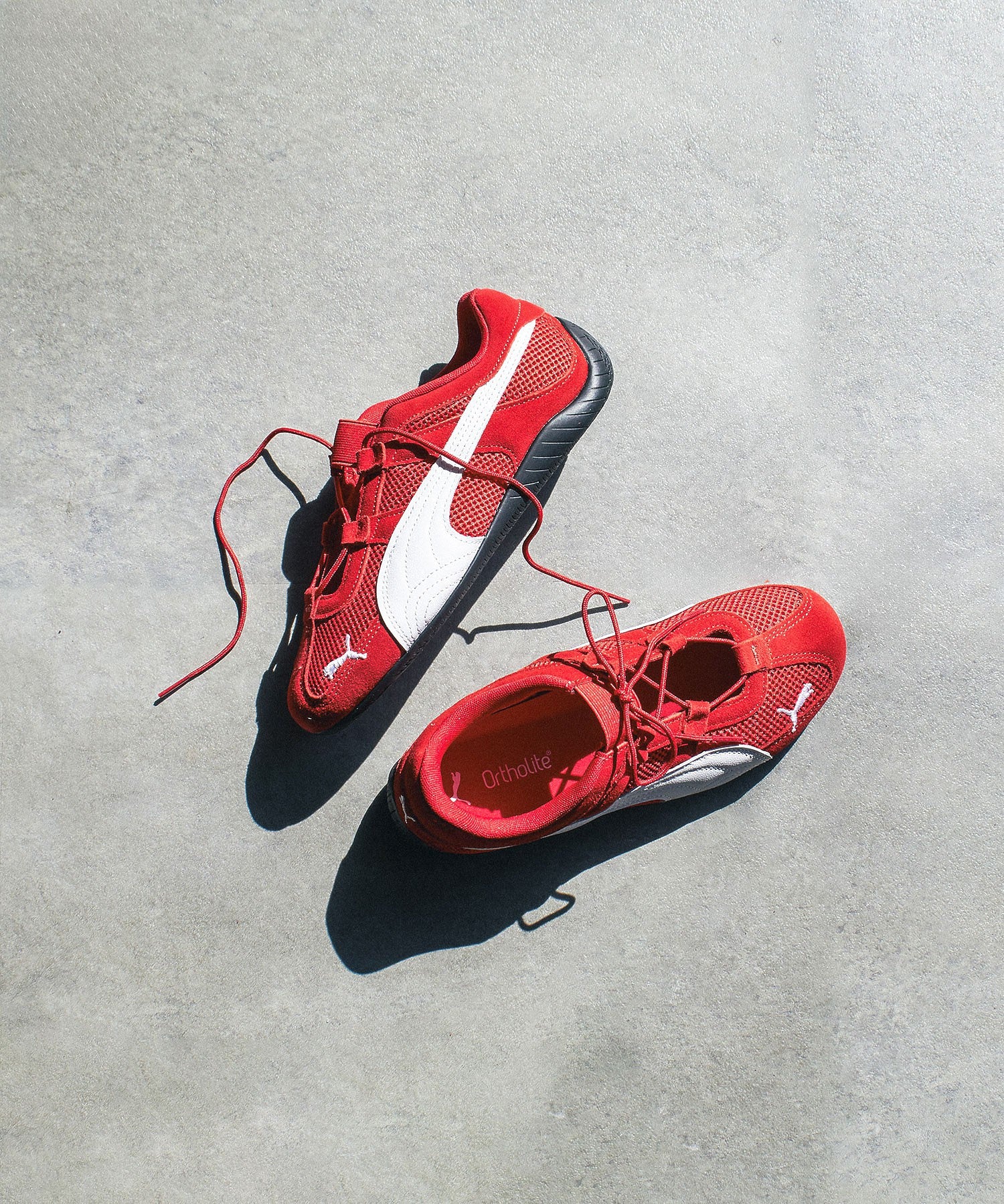 PUMA/SPEEDCAT GO WNS