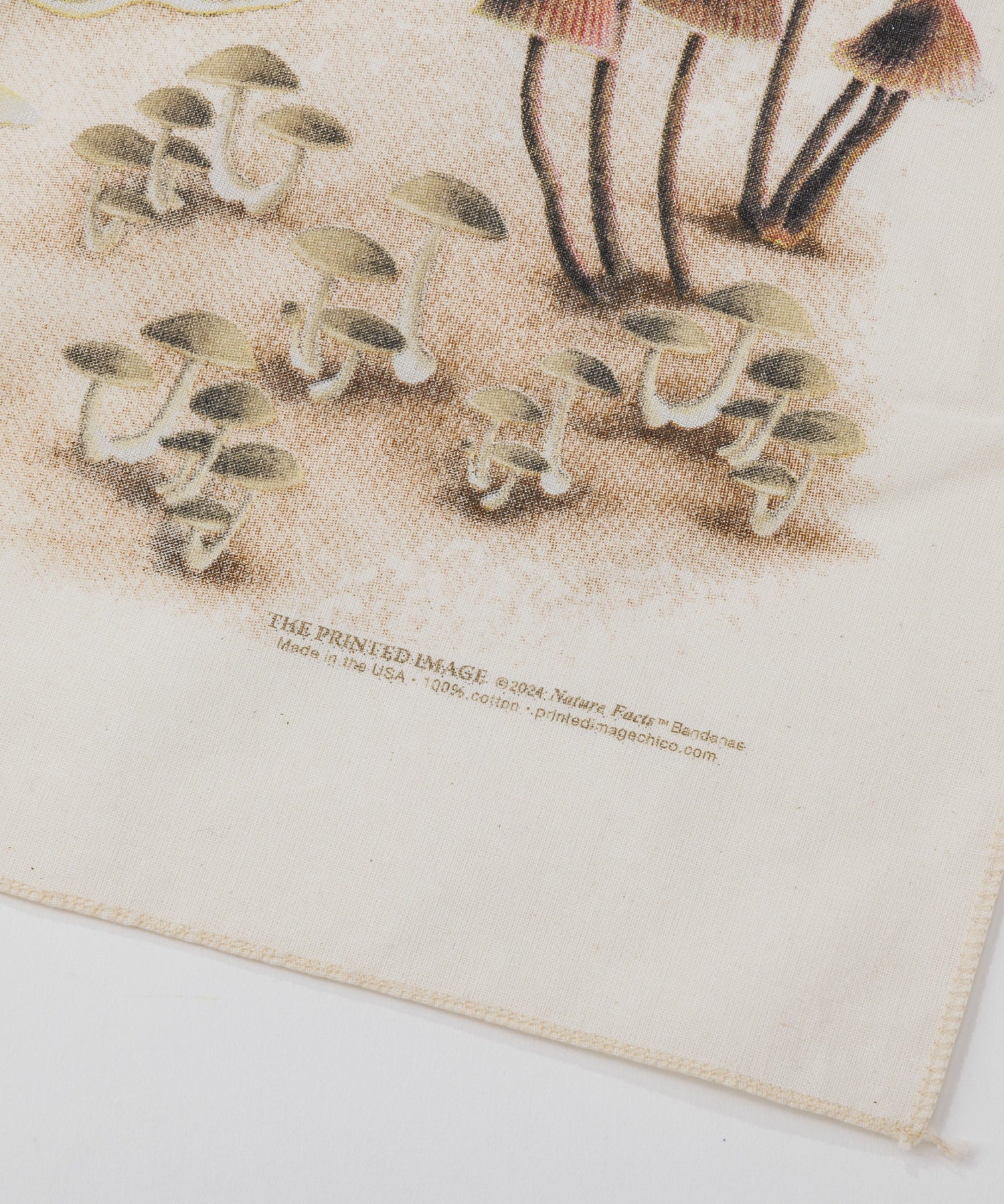 【The Printed Image】ﾈｲﾁｬｰﾌﾟﾘﾝﾄ ﾏｯｼｭﾙｰﾑ