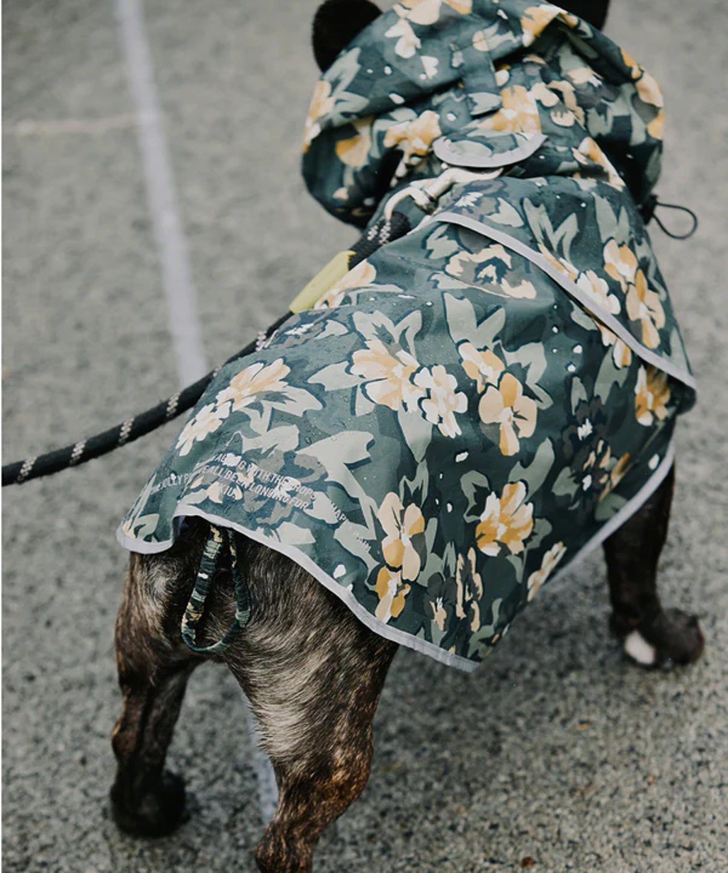 【KiU】DOG RAIN PONCHO