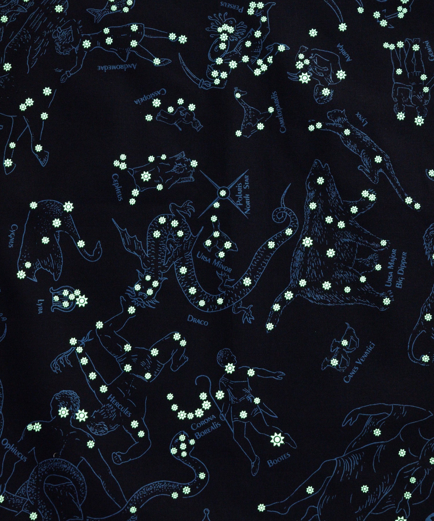 【The Printed Image】ﾈｲﾁｬｰﾌﾟﾘﾝﾄﾊﾞﾝﾀﾞﾅ星座