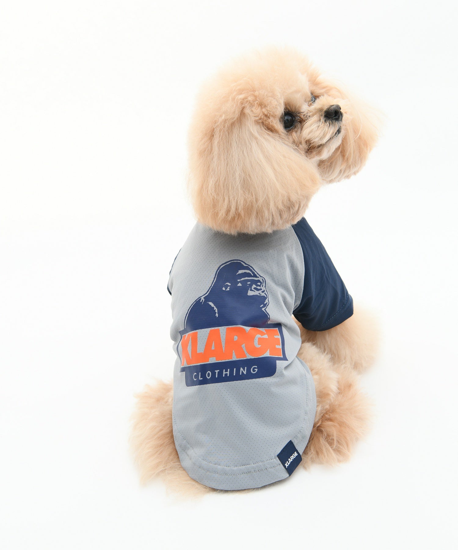 【XLARGE DOGWEAR】OGラグラン風メッシュT