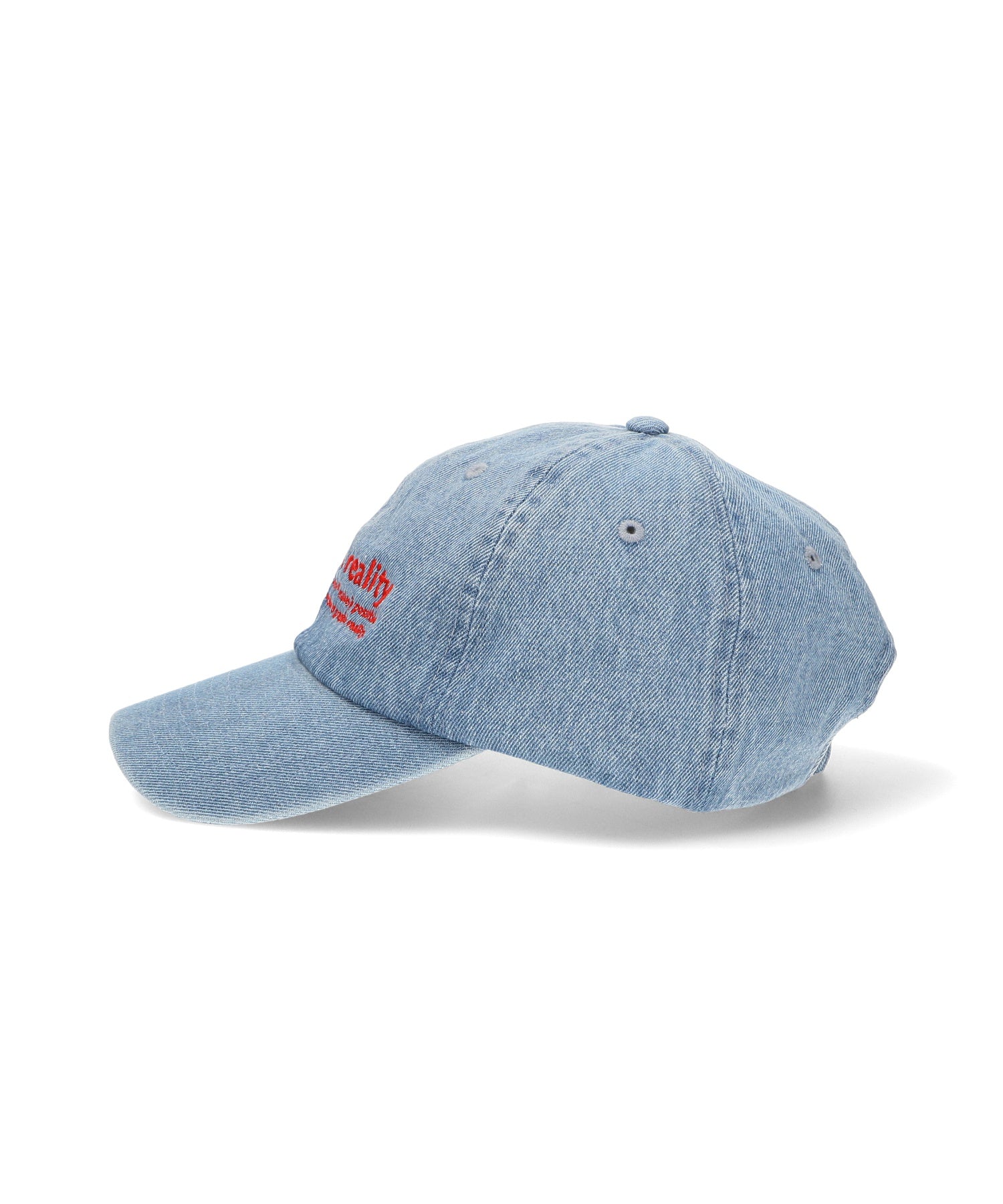 LOOSE JOINTS/ルーズジョインツ ED DAVIS Graphic Reality BASEBALL CAP LS24HT004ED