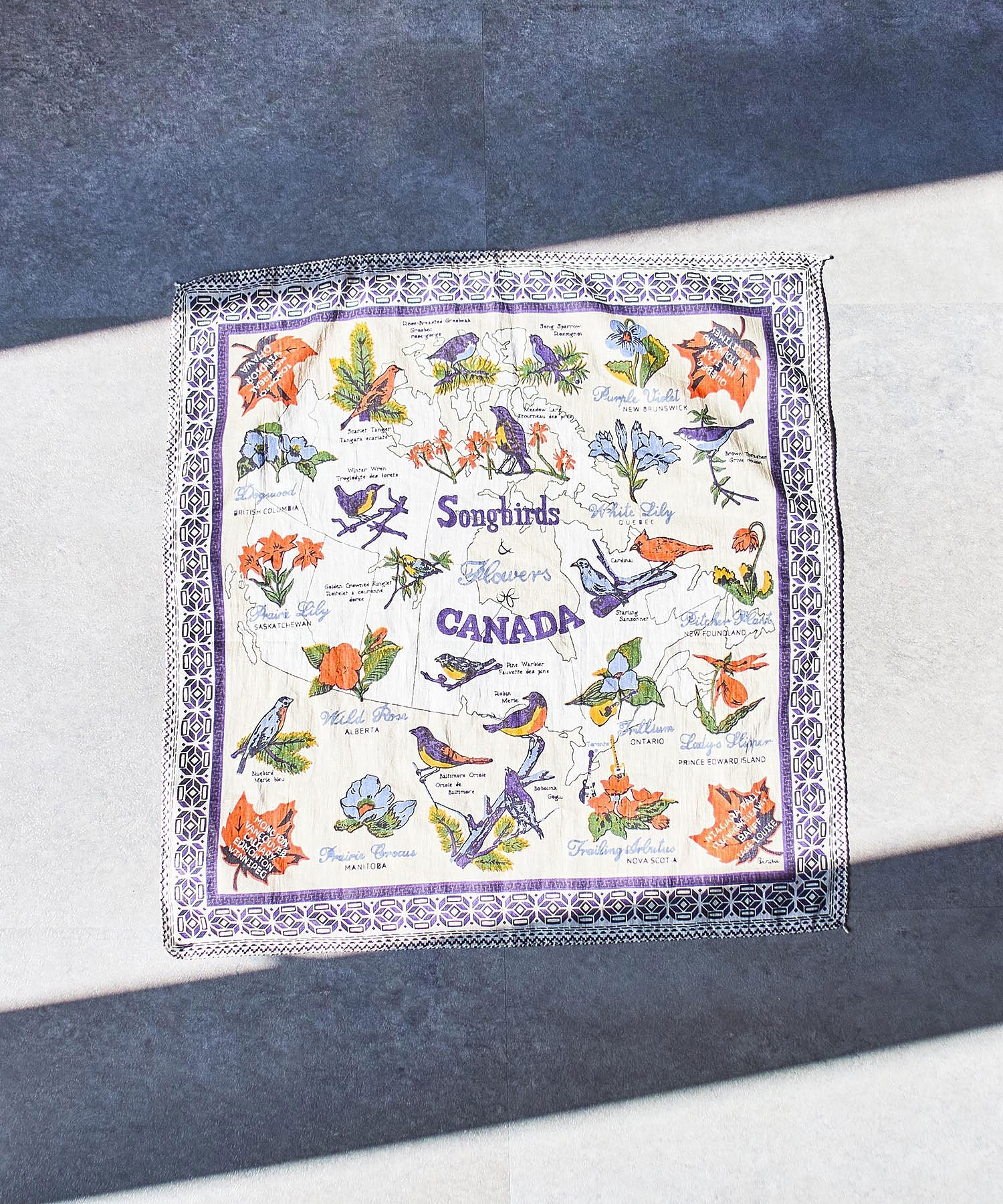 BINDU/COTTON VOILE CANADA BANDANA