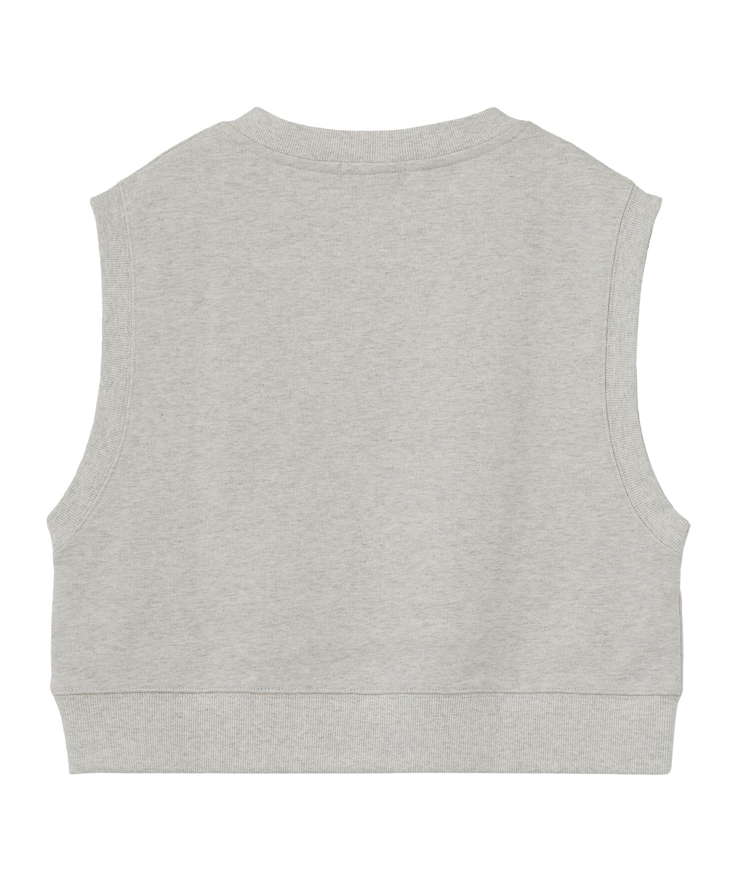 COLLEGE LOGO V-NECK SWEAT VEST