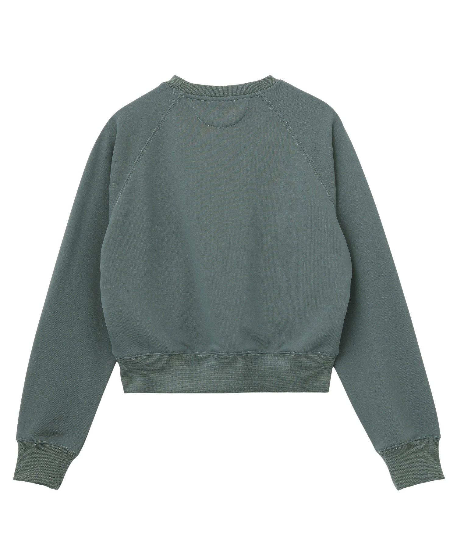 COLLEGE LOGO SHORT CREWNECK SWEATSHIRT