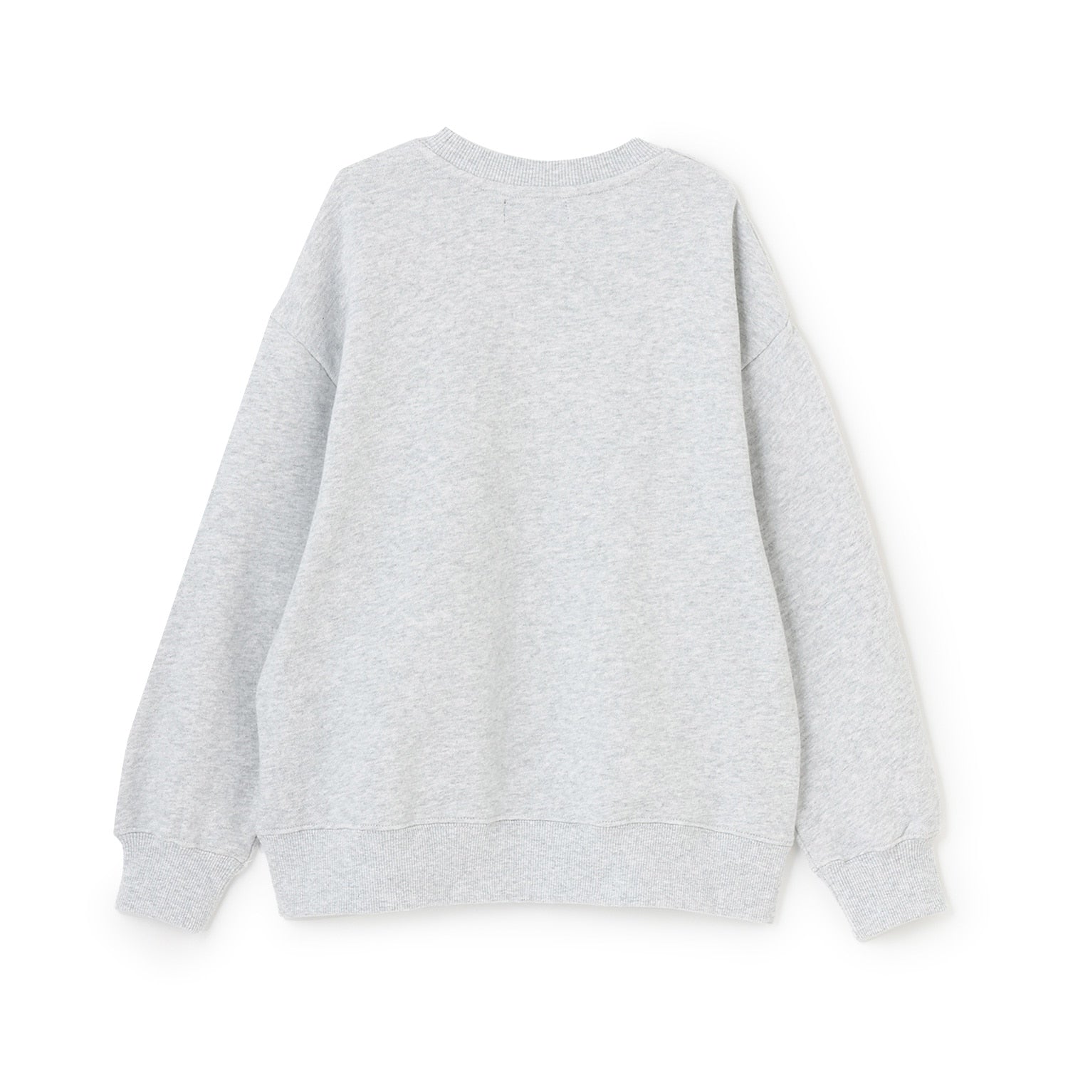 スノーボードT-REXトレーナー