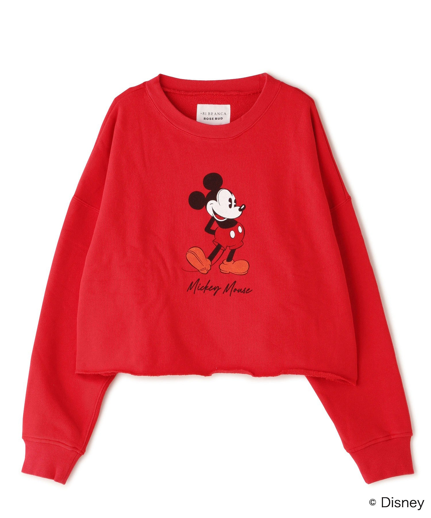 standing/MICKEY MOUSE/sweat