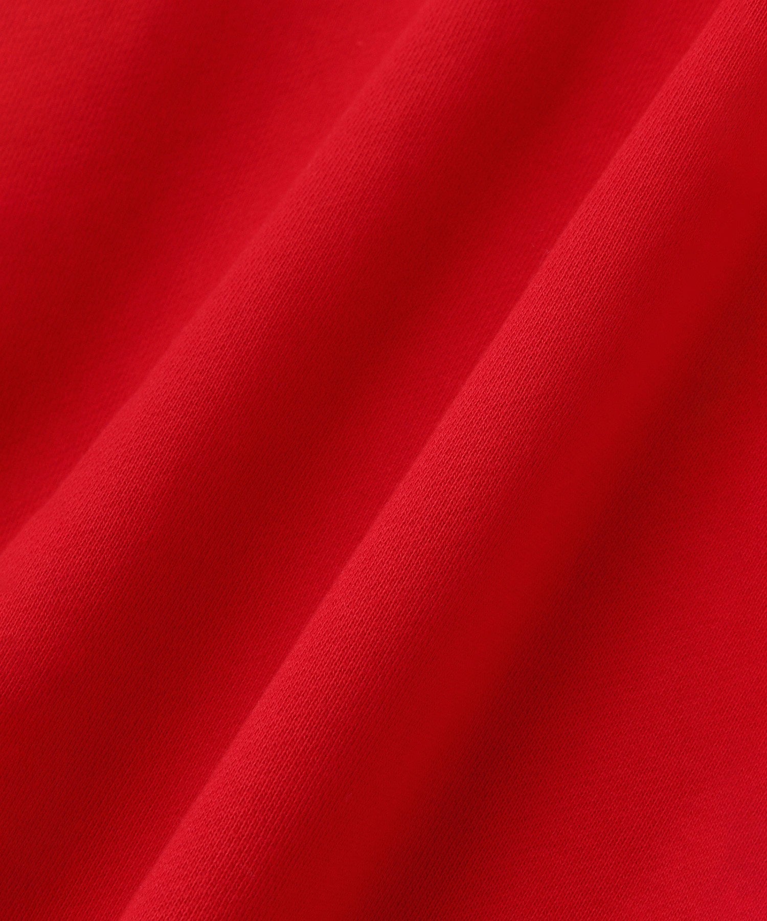 <Champion別注>ビッグスウェット