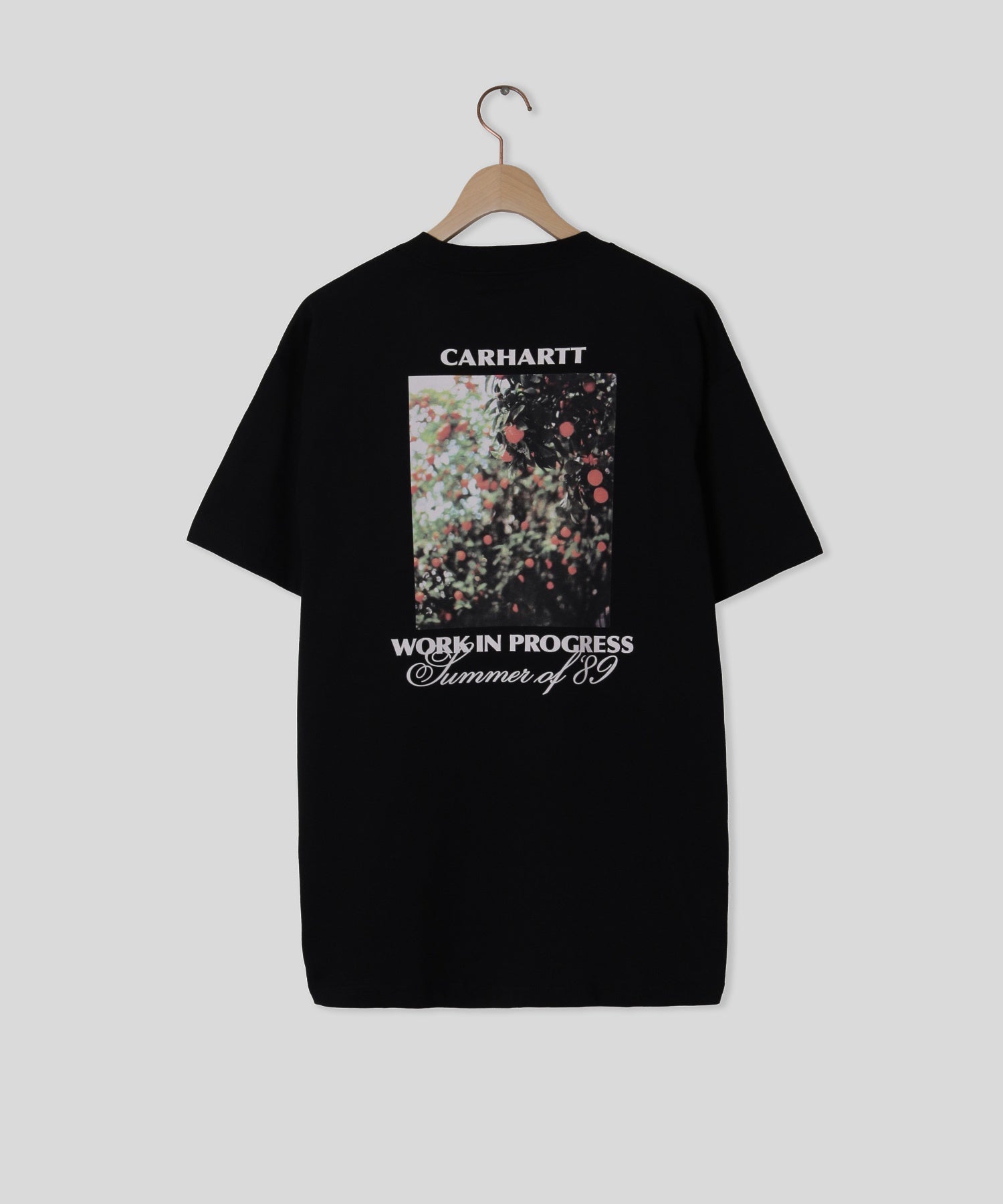 CARHARTT/カーハート/WIP S/S WARM VIEWS T-SHIRT I036246