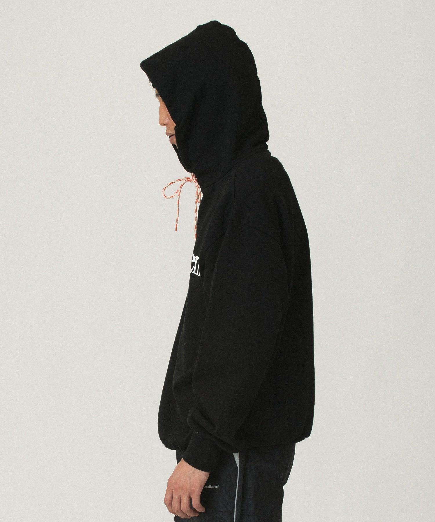 NO PROBLEMO/ノープロブレモ/HOODIE NP20012 04