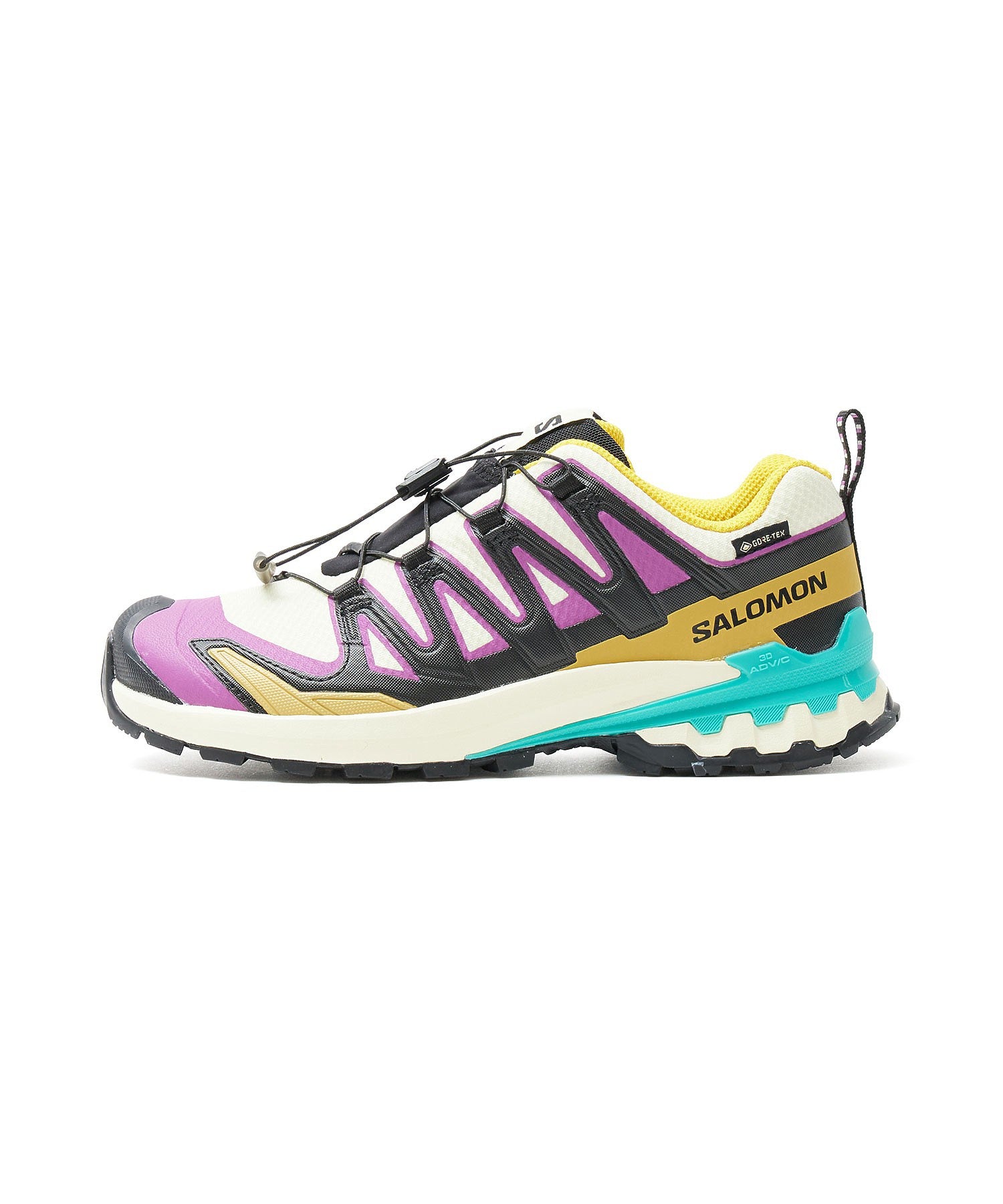 SALOMON/XA PRO 3D V9 GTX
