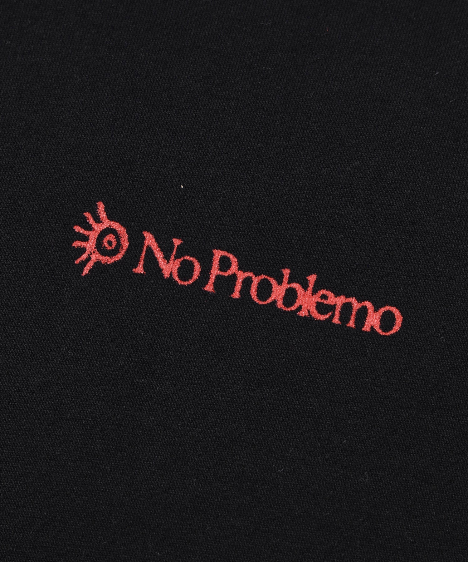 NO PROBLEMO/ノープロブレモ/Ancient Findings HoodieNP20018.06