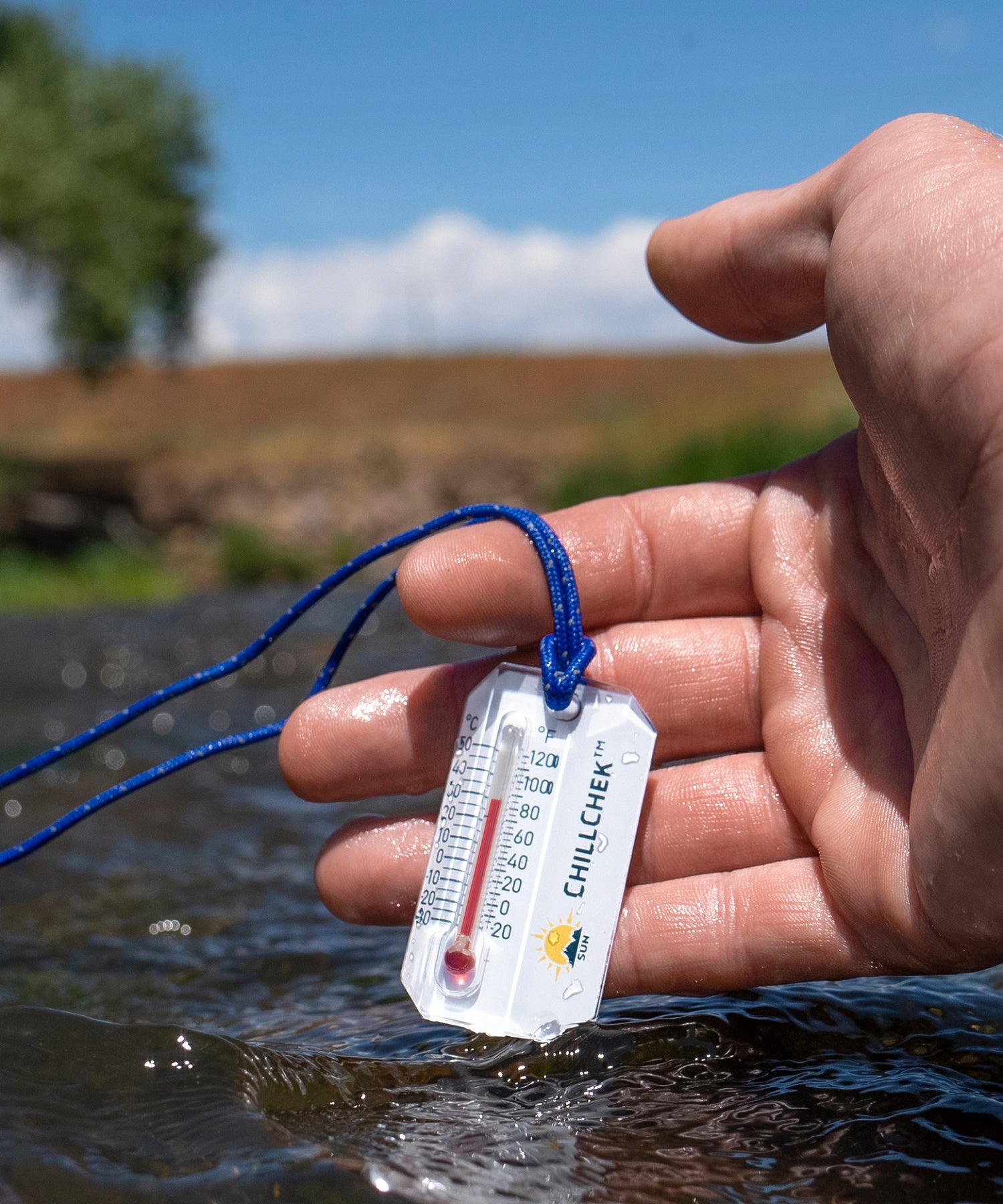 【SUN COMPANY】ﾁﾙﾁｪｯｸ