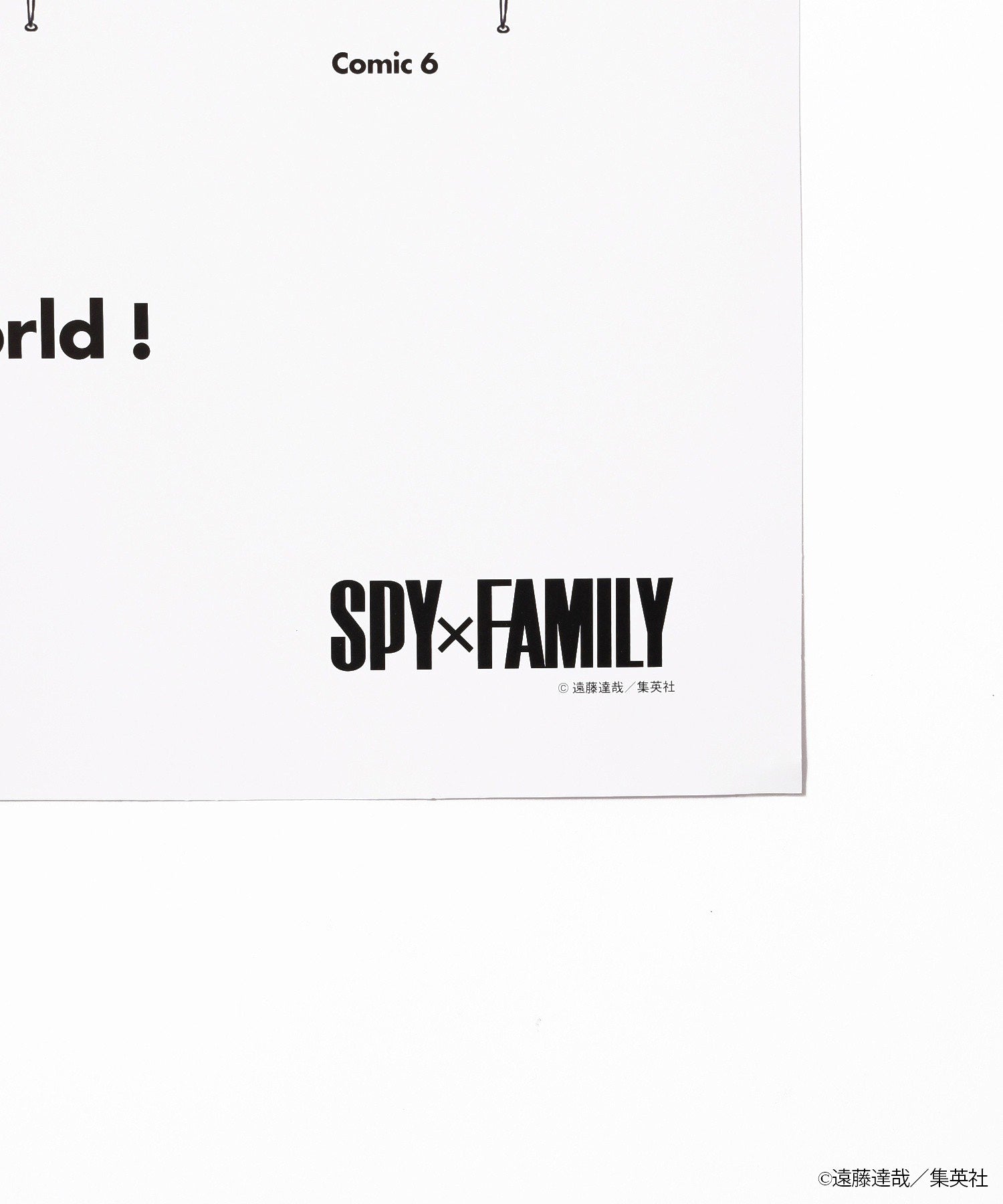 SPY×FAMILY Mid-Century MODERN THE CHAIR COLLECTION POSTER
