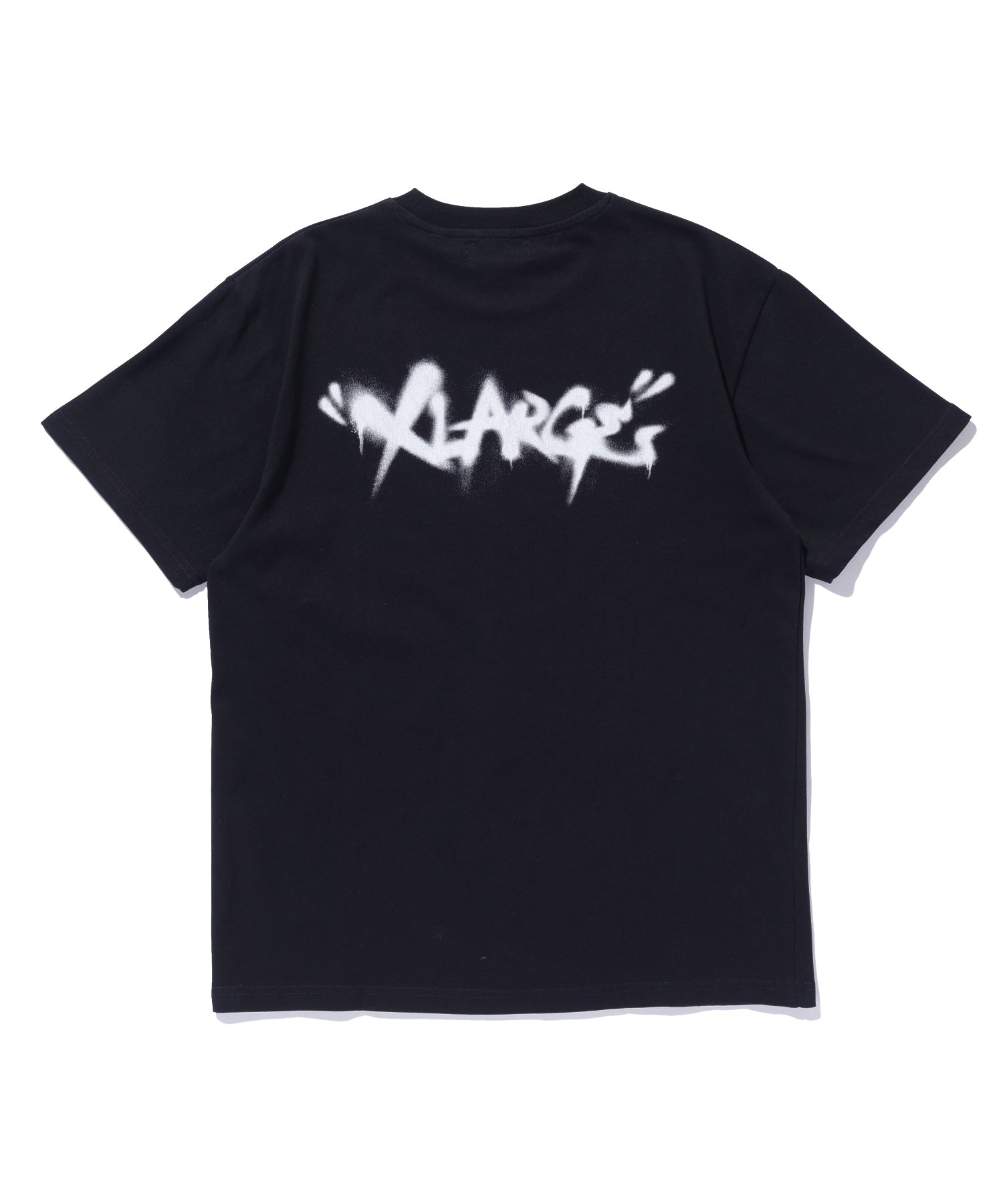 SLEEPING BEAUTY / S/S TEE