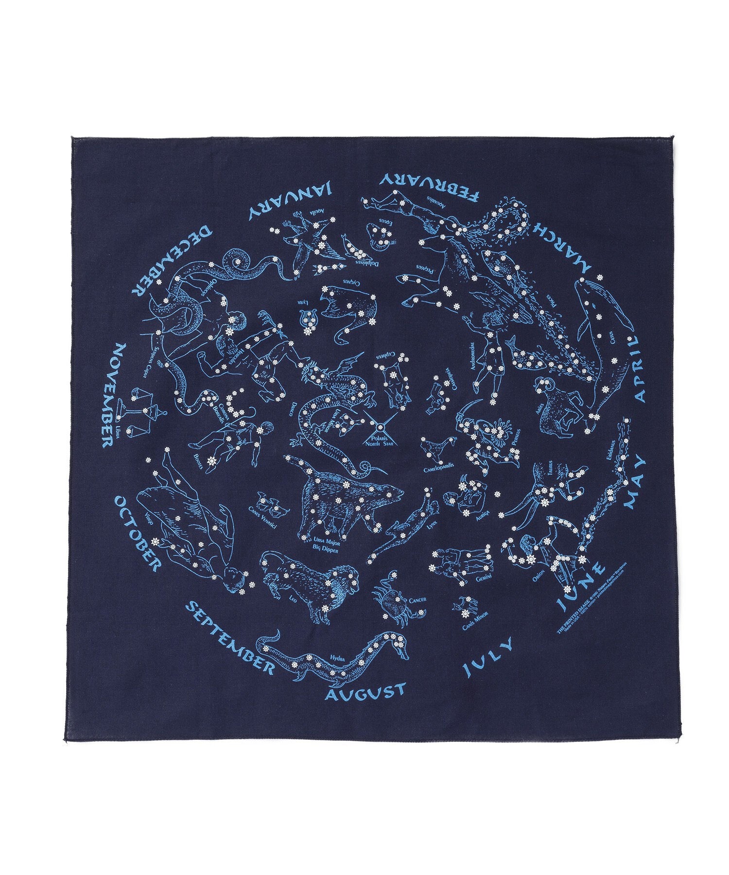 【The Printed Image】ﾈｲﾁｬｰﾌﾟﾘﾝﾄﾊﾞﾝﾀﾞﾅ星座