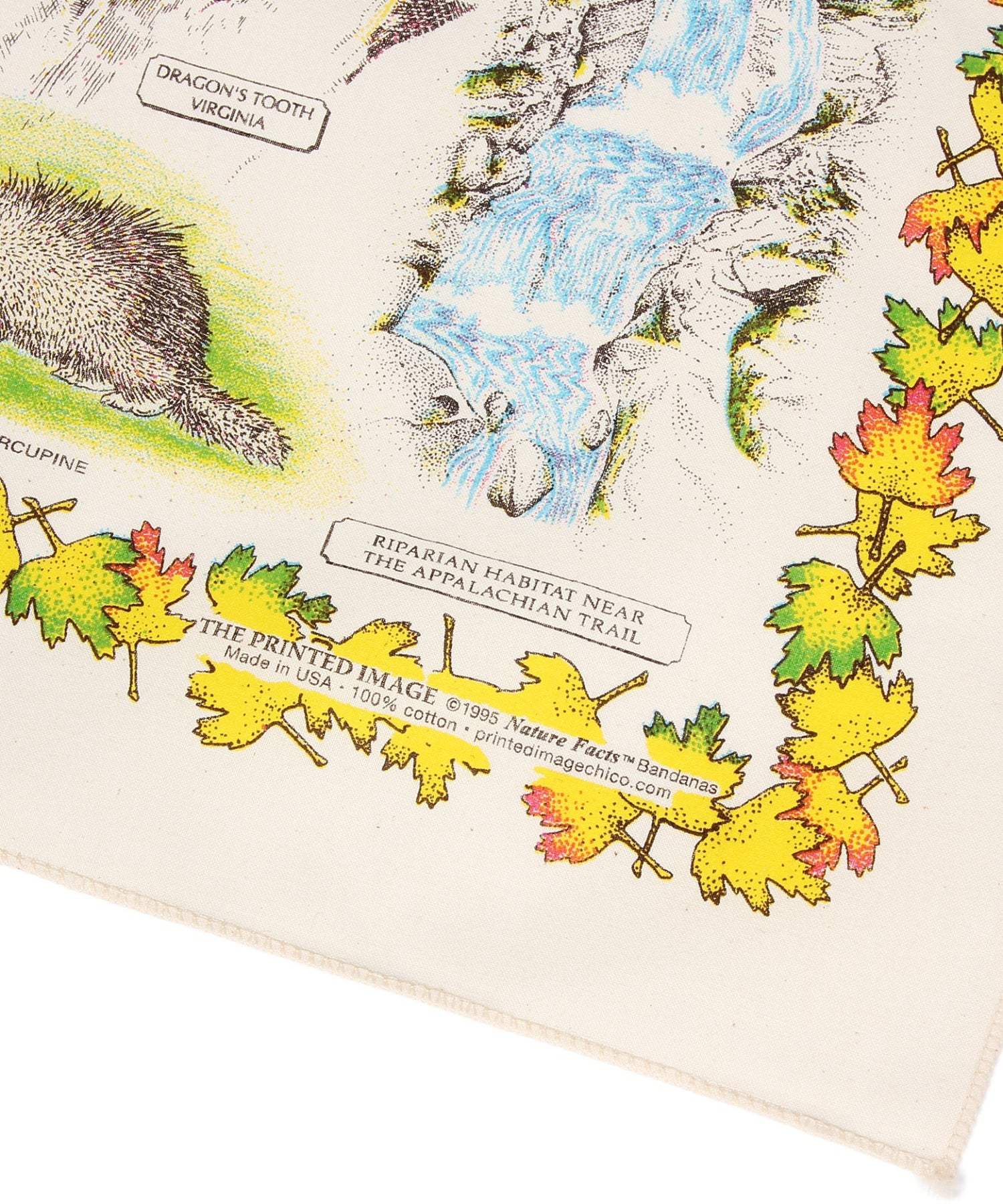 【The Printed Image】ﾈｲﾁｬｰﾌﾟﾘﾝﾄ ｱﾊﾟﾗﾁｱﾝﾄﾚｲﾙ