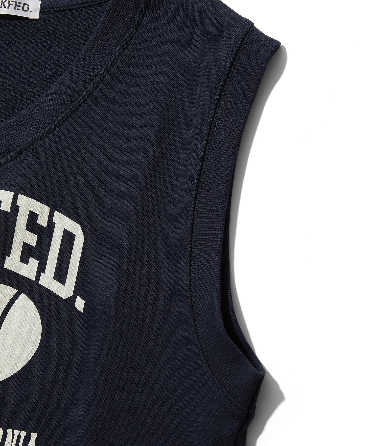 COLLEGE LOGO V-NECK SWEAT VEST