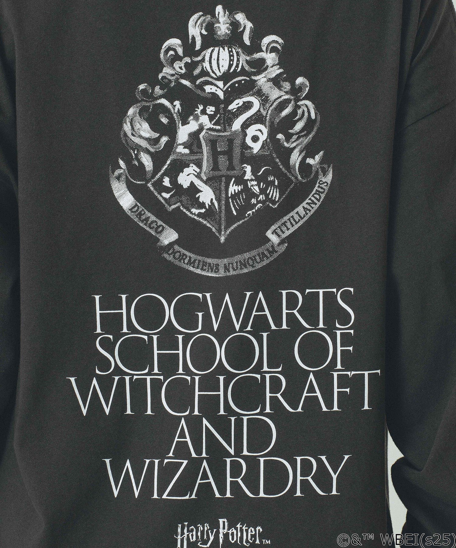 【Sサイズのみ期間限定受注生産】COLSUN/HOGWARTS SCHOOL L/S TEE