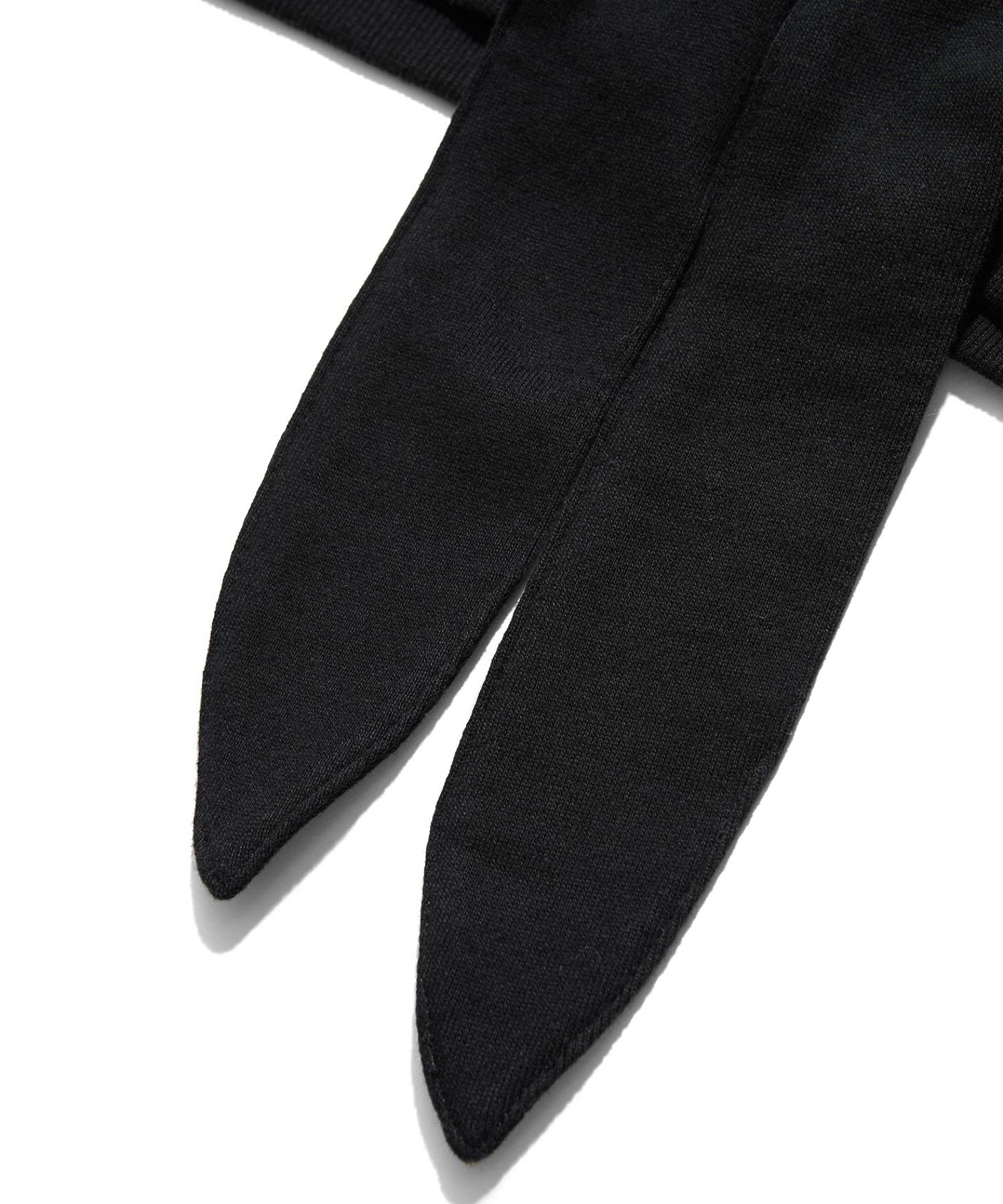 BIG RIBBON SWEAT ZIP HOODIE