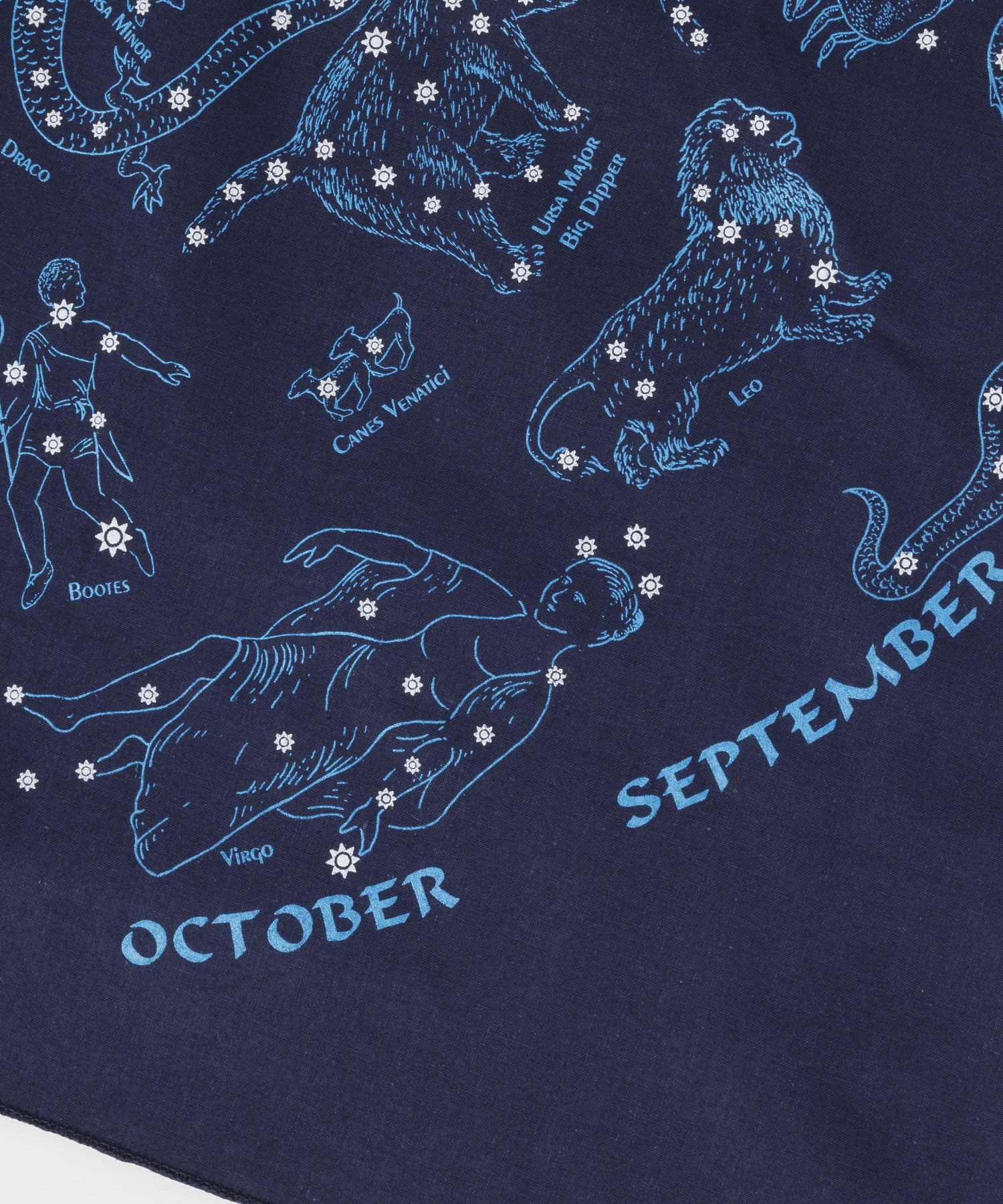 【The Printed Image】ﾈｲﾁｬｰﾌﾟﾘﾝﾄﾊﾞﾝﾀﾞﾅ星座