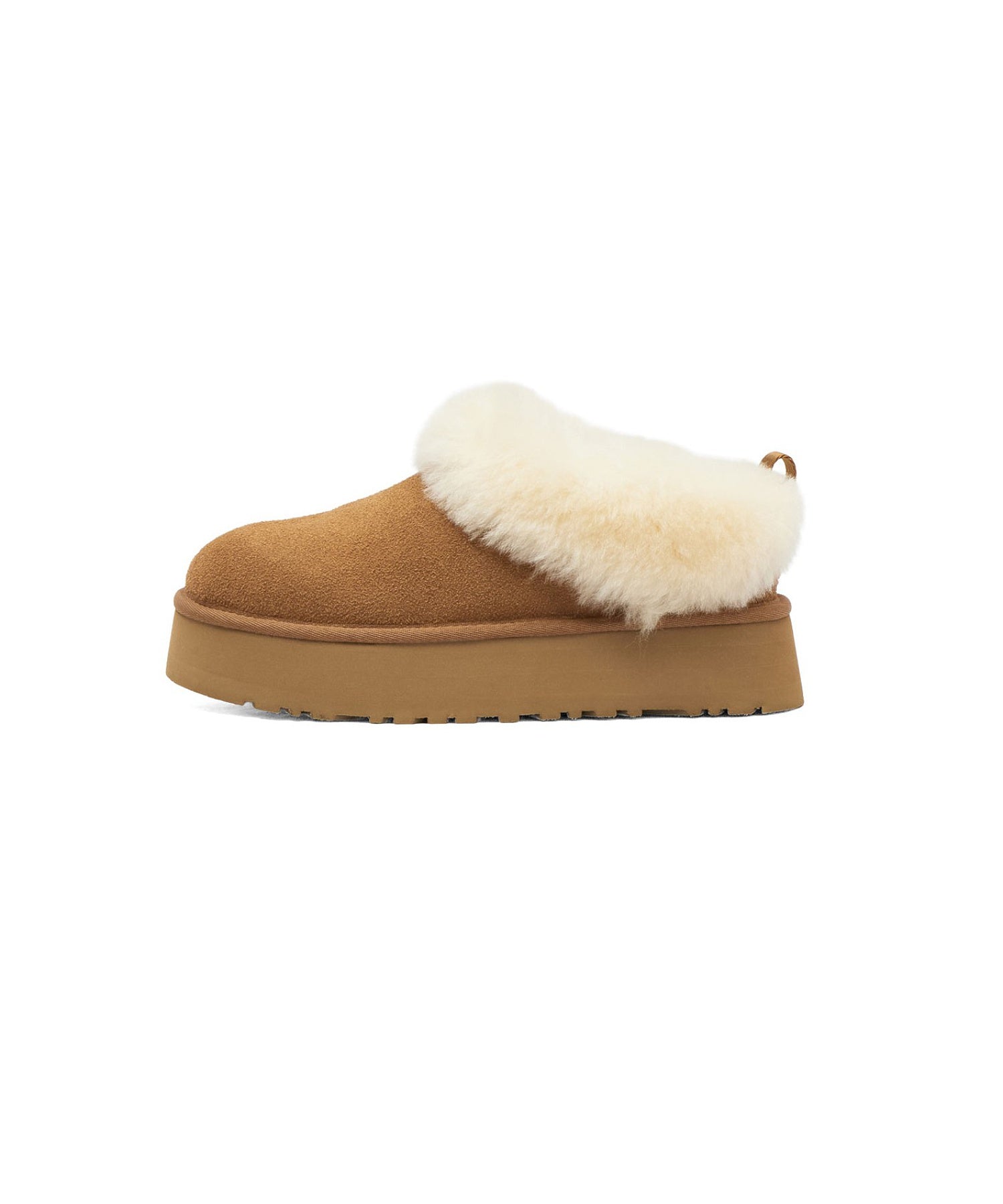UGG/W TAZZELLE