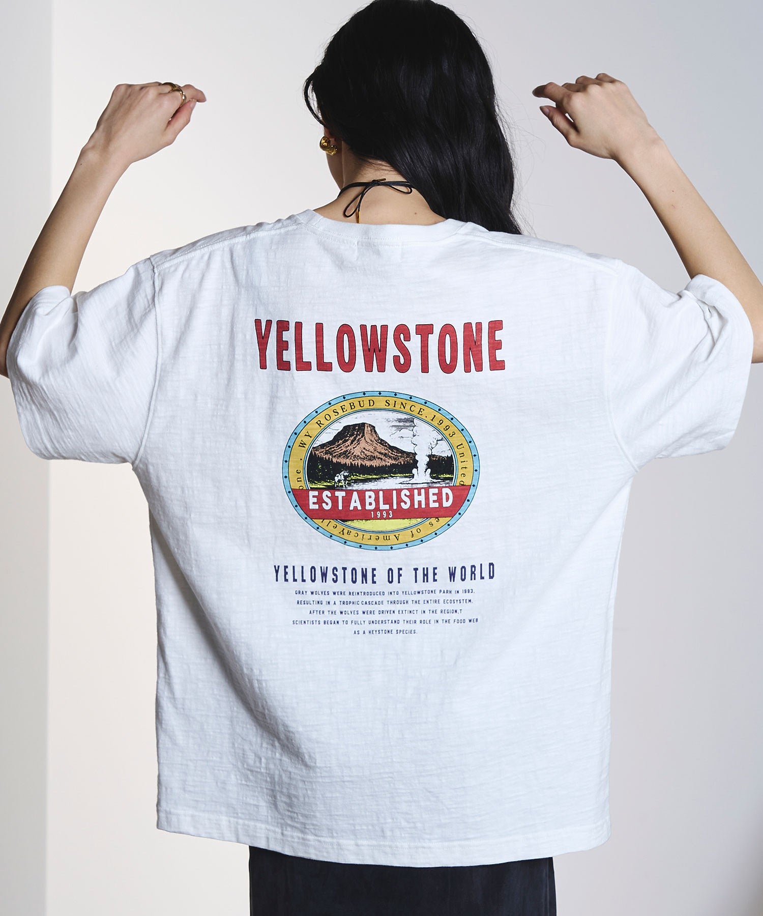 WILDWOOD PARK S/S TEE