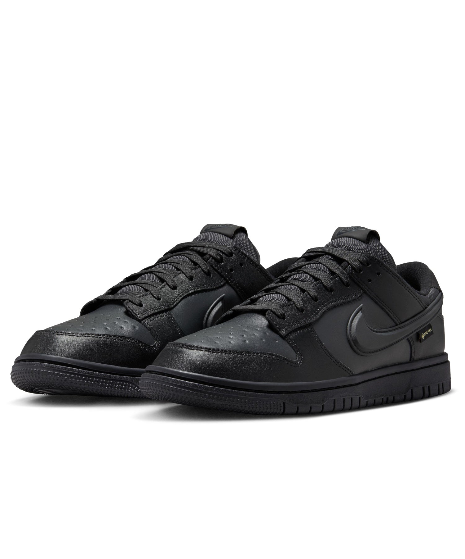 NIKE/ナイキ/DUNK LOW GTX HQ2053-001