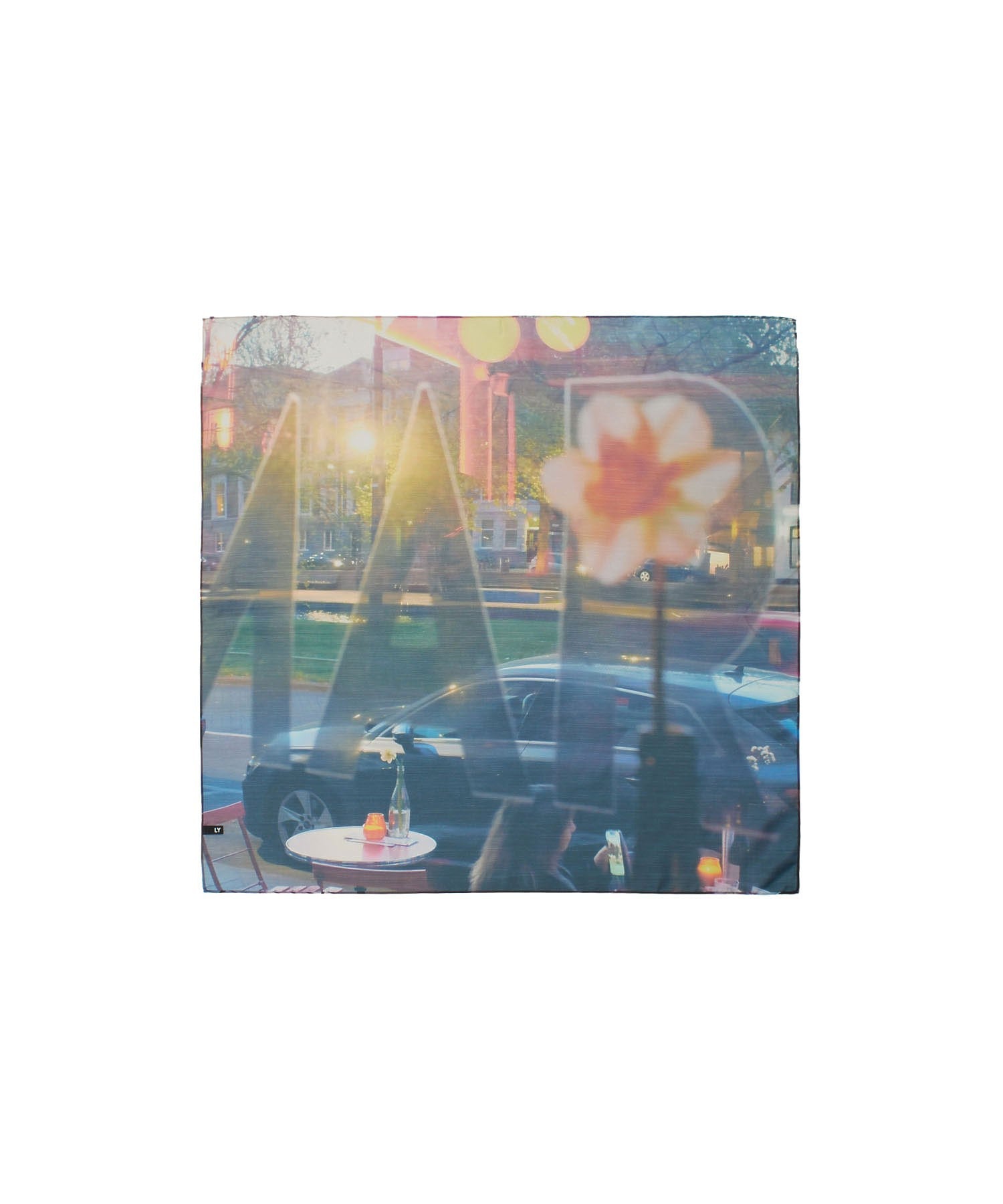 LY/POSTCARD SCARF
