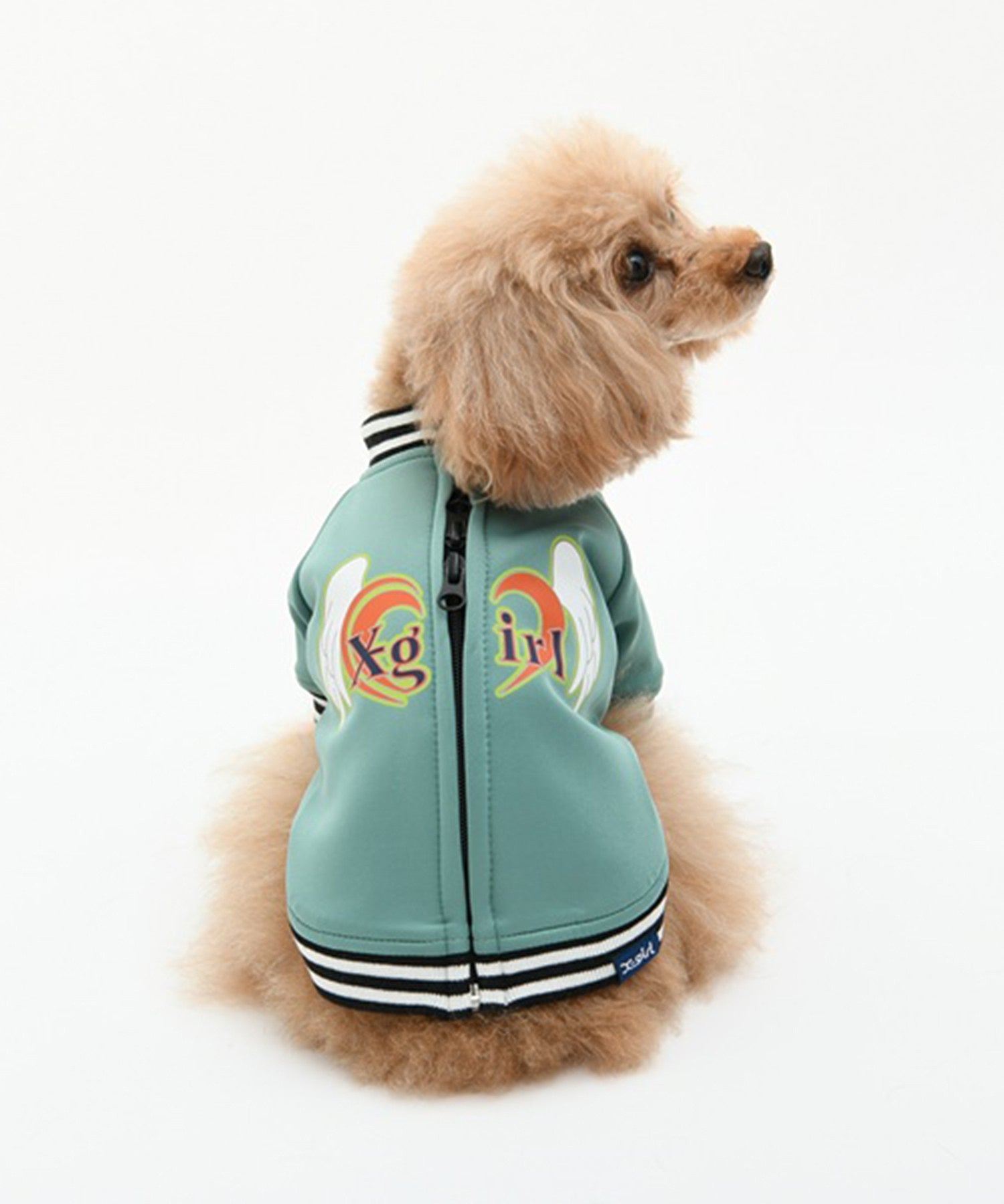 【X-girl DOGWEAR】ハートトラックジャケット