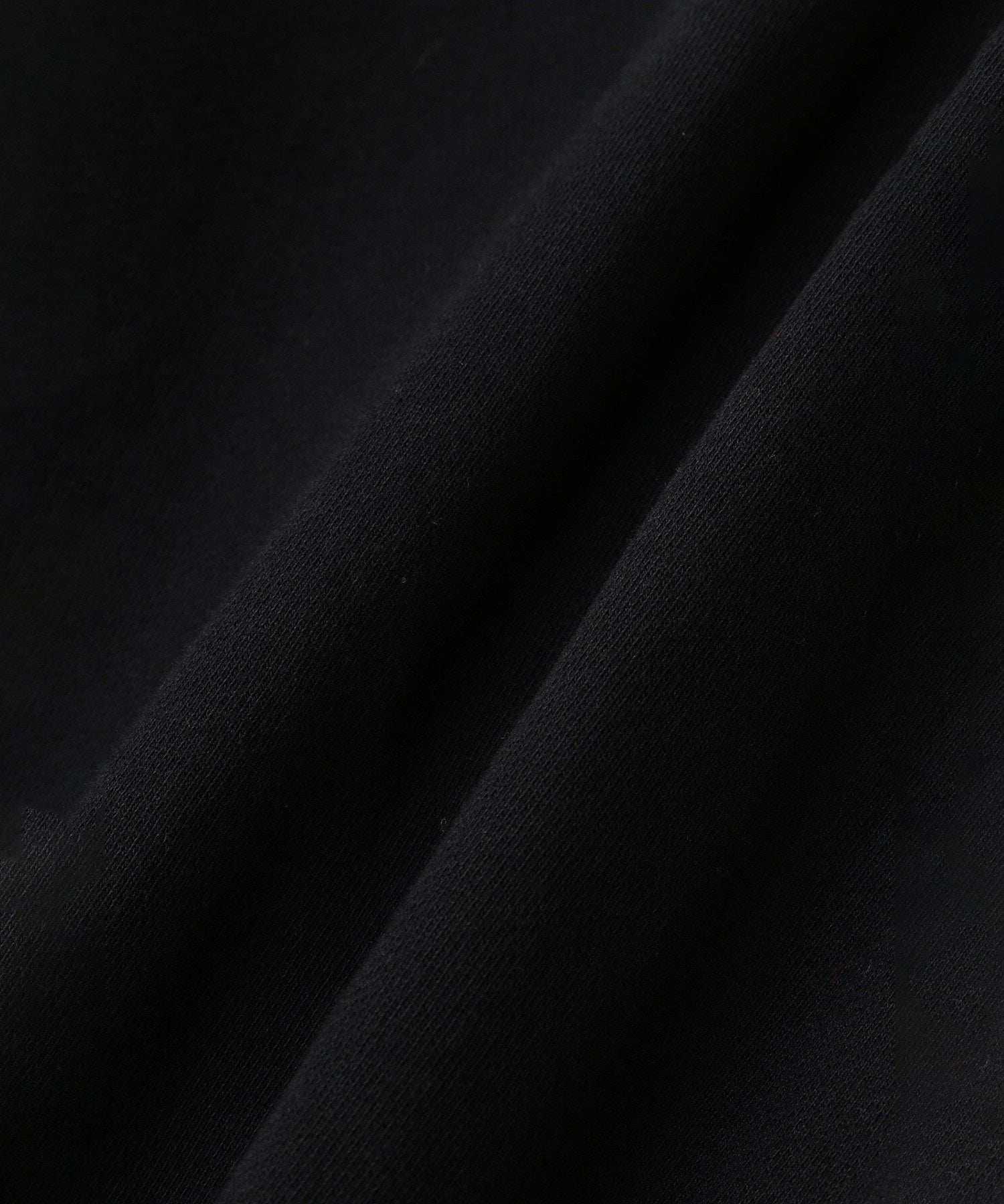 <Champion別注>ビッグスウェット