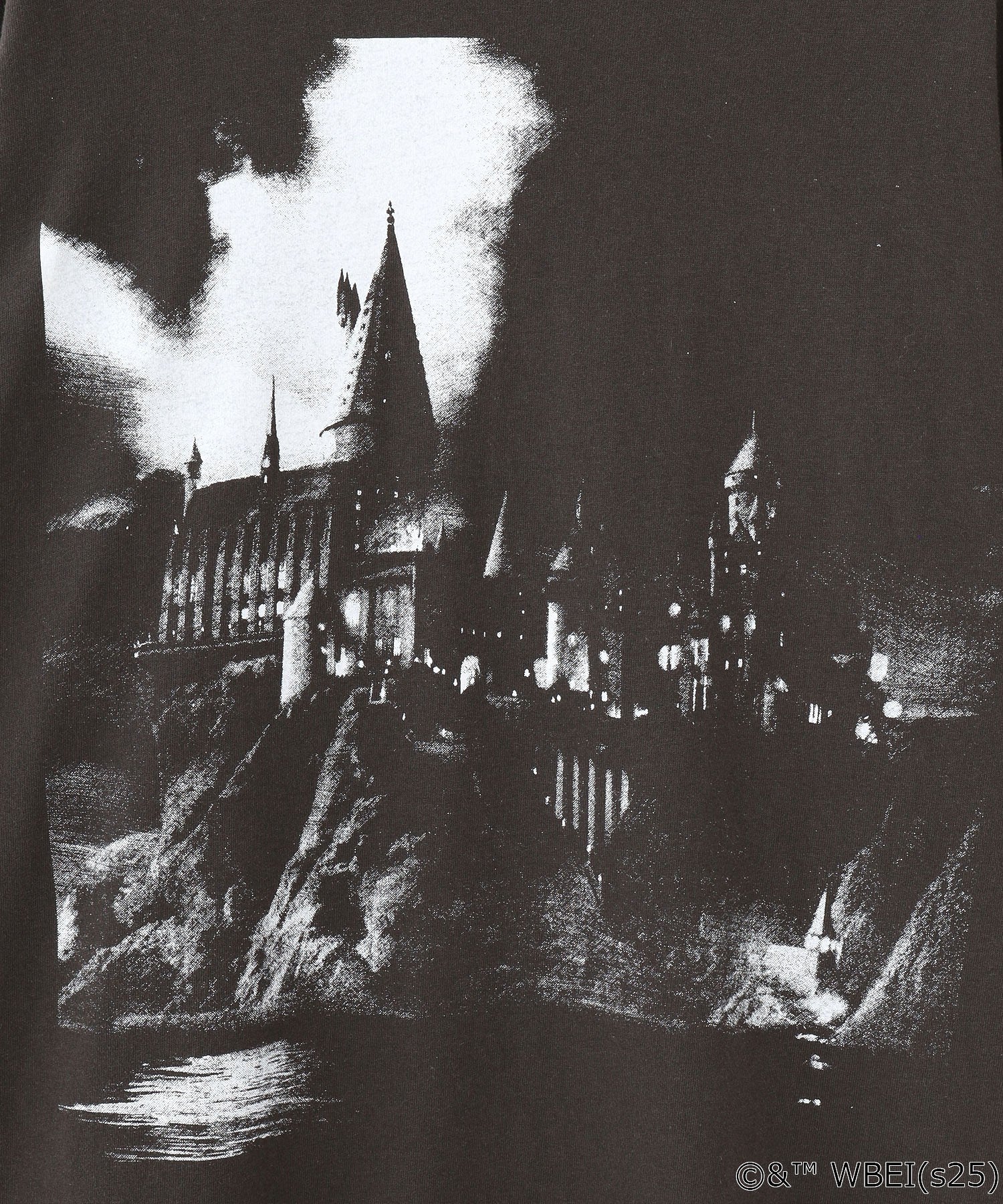 【Sサイズのみ期間限定受注生産】COLSUN/HOGWARTS SCHOOL L/S TEE