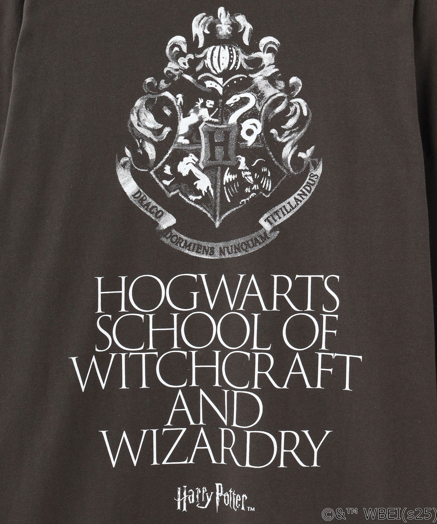 【Sサイズのみ期間限定受注生産】COLSUN/HOGWARTS SCHOOL L/S TEE