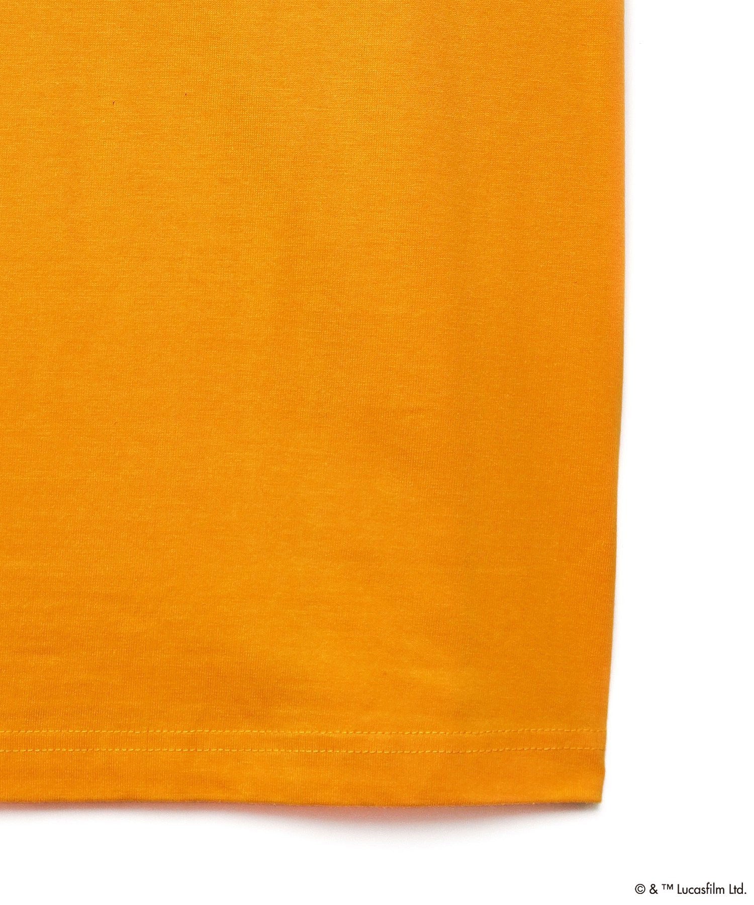 COLSUN/Amidara TEE