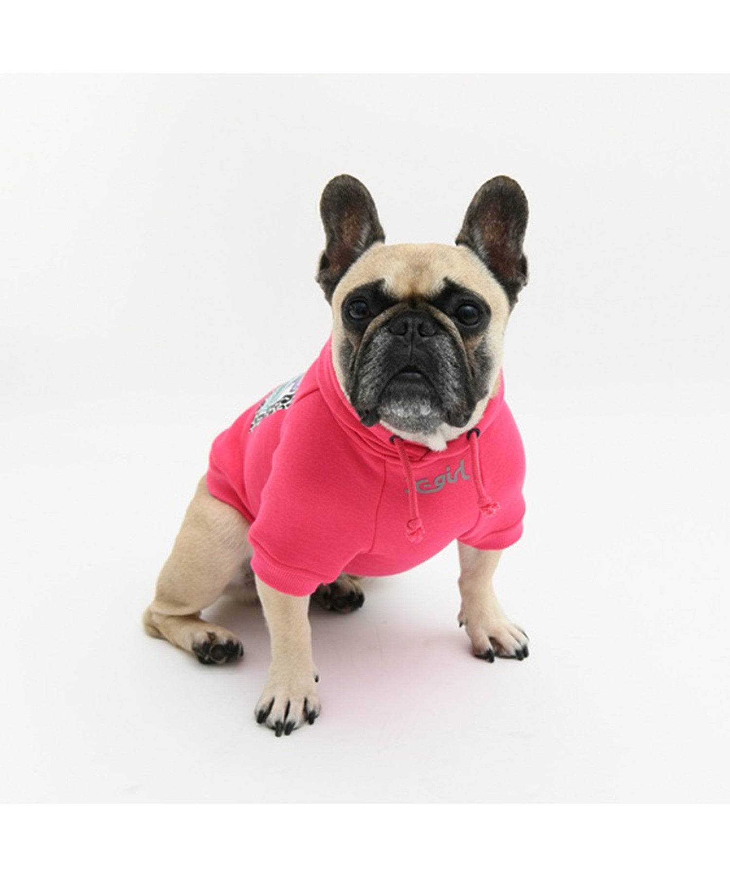 【X-girl DOGWEAR】ヒョウ柄ボックスロゴパーカー