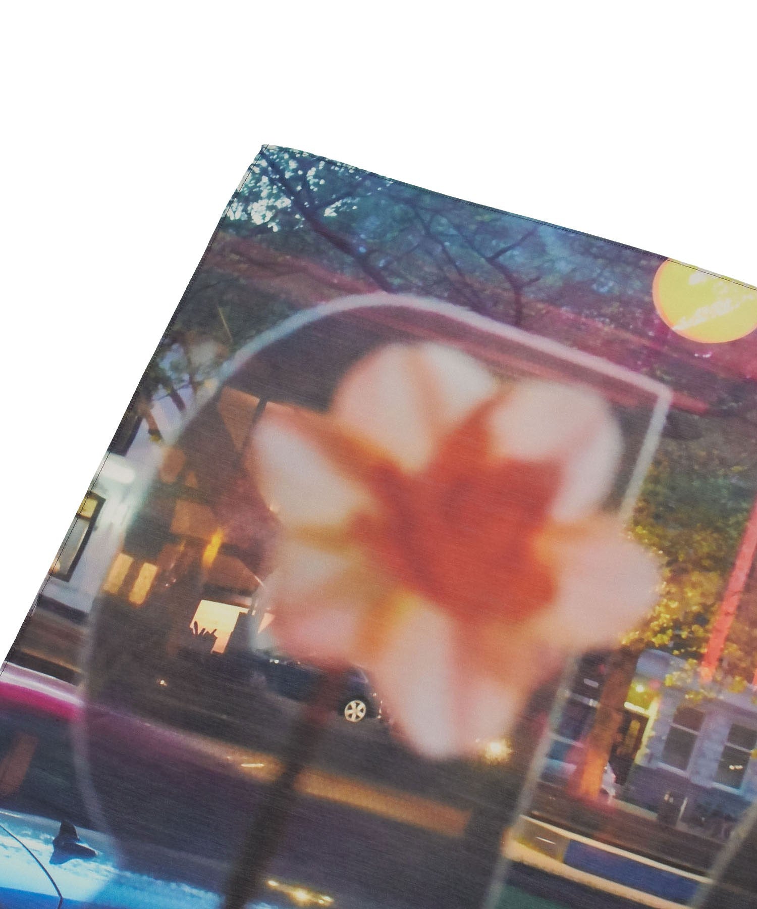 LY/POSTCARD SCARF