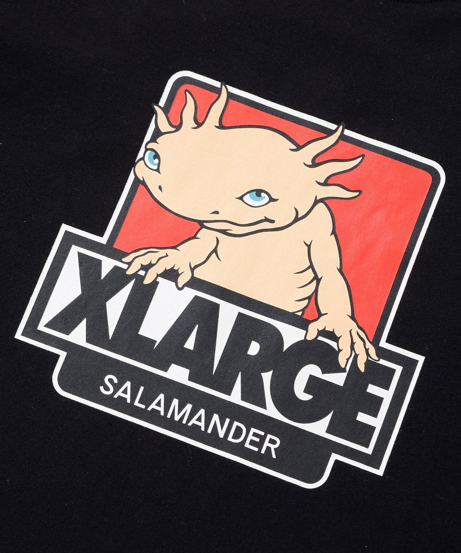 XLARGE×salamander S/S TEE calif-ART