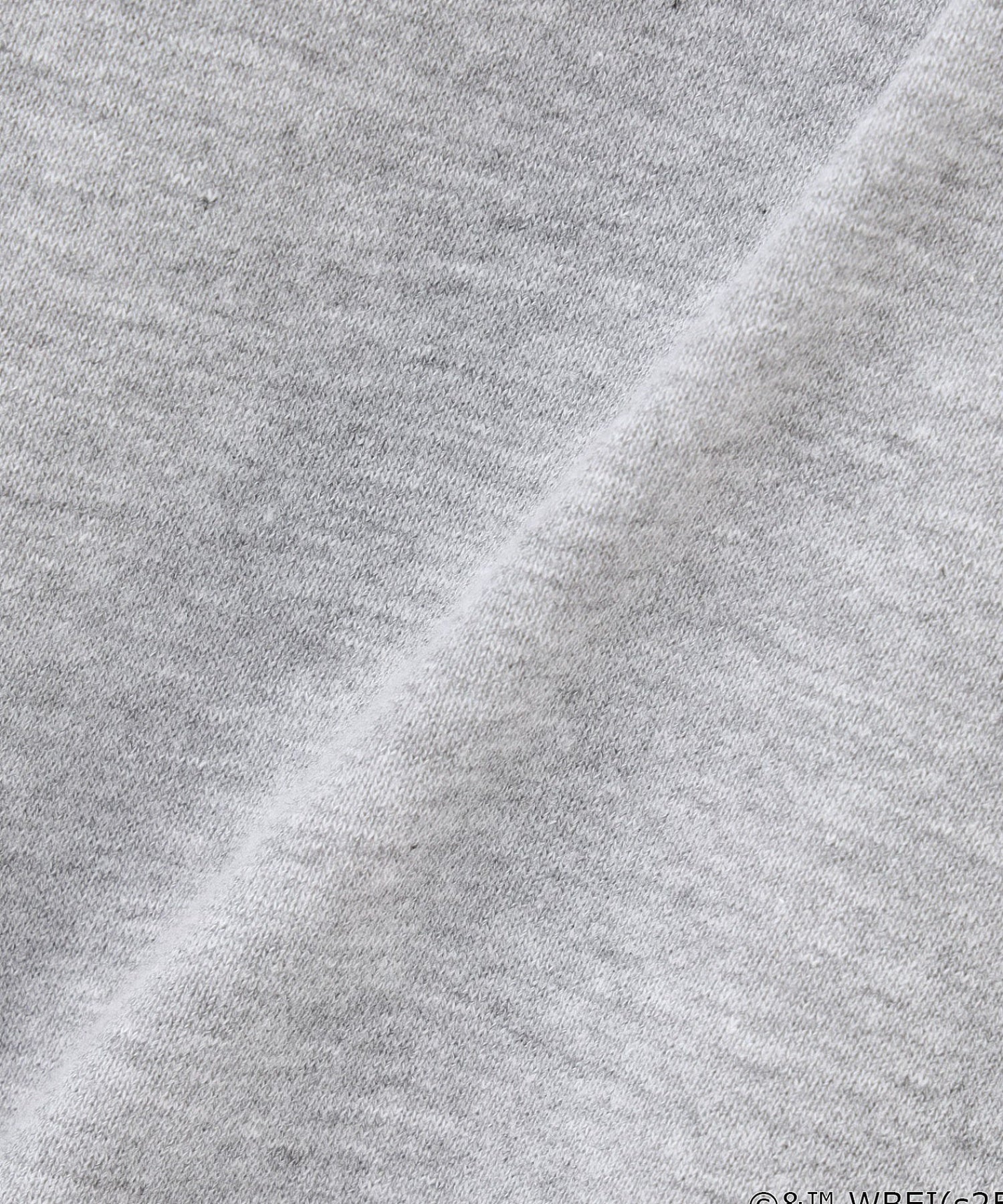 【Lサイズのみ期間限定受注生産】COLSUN/THE PRISONER OF AZKABAN SWEATSHIRT