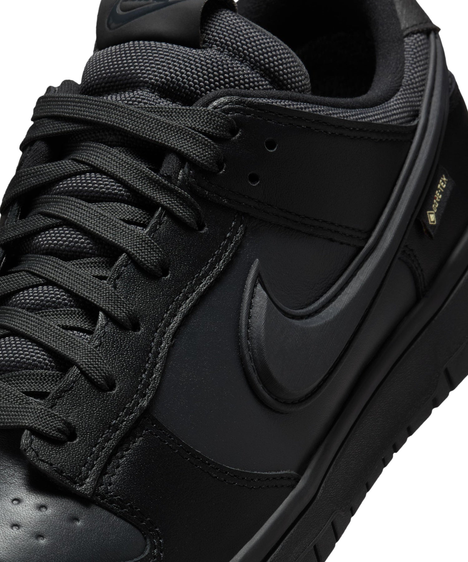 NIKE/ナイキ/DUNK LOW GTX HQ2053-001