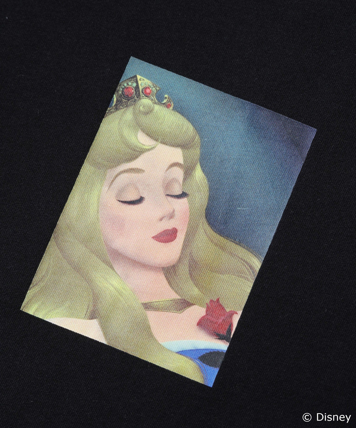 SLEEPING BEAUTY / S/S TEE
